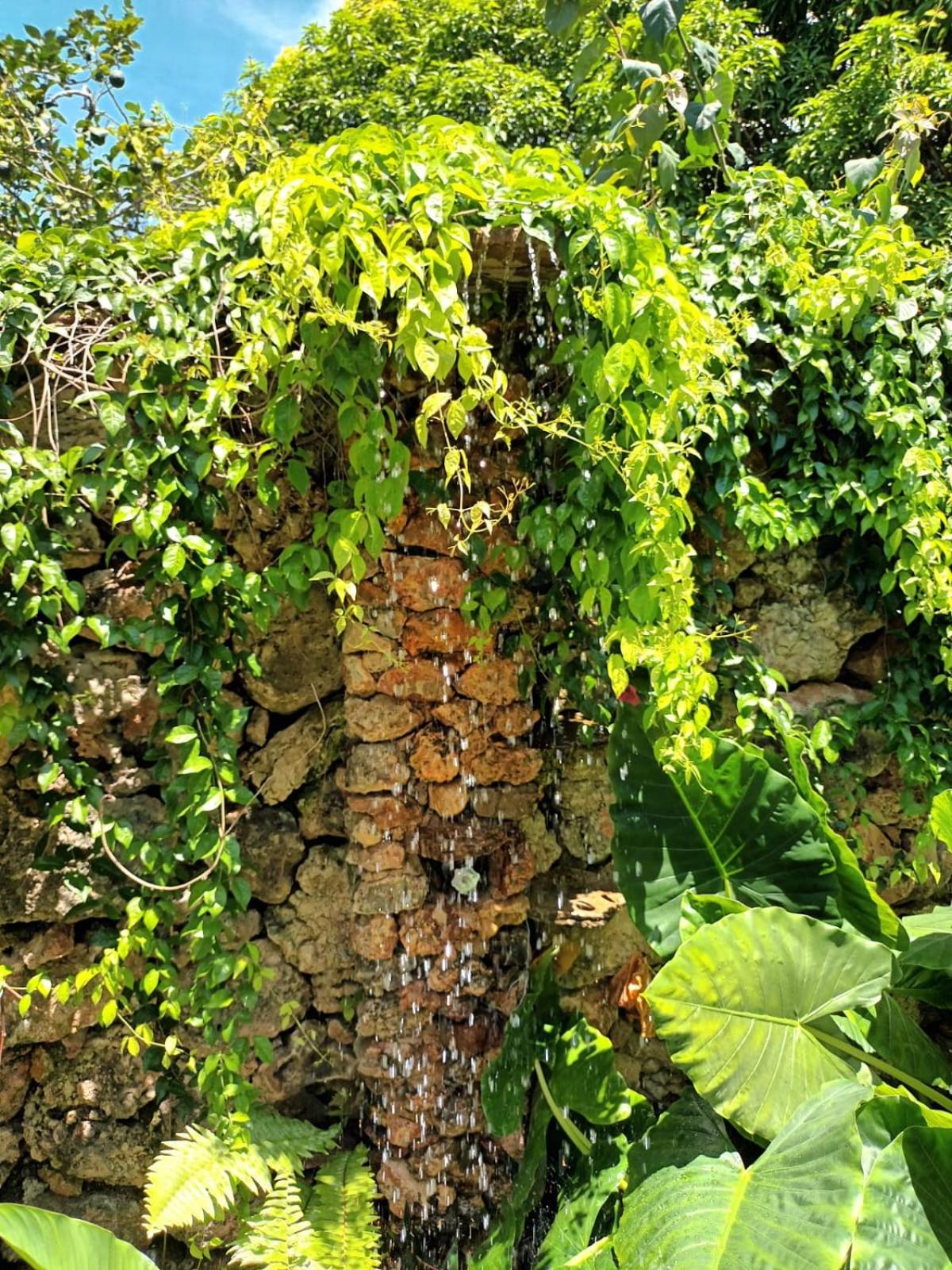 Samo Eco Lodge