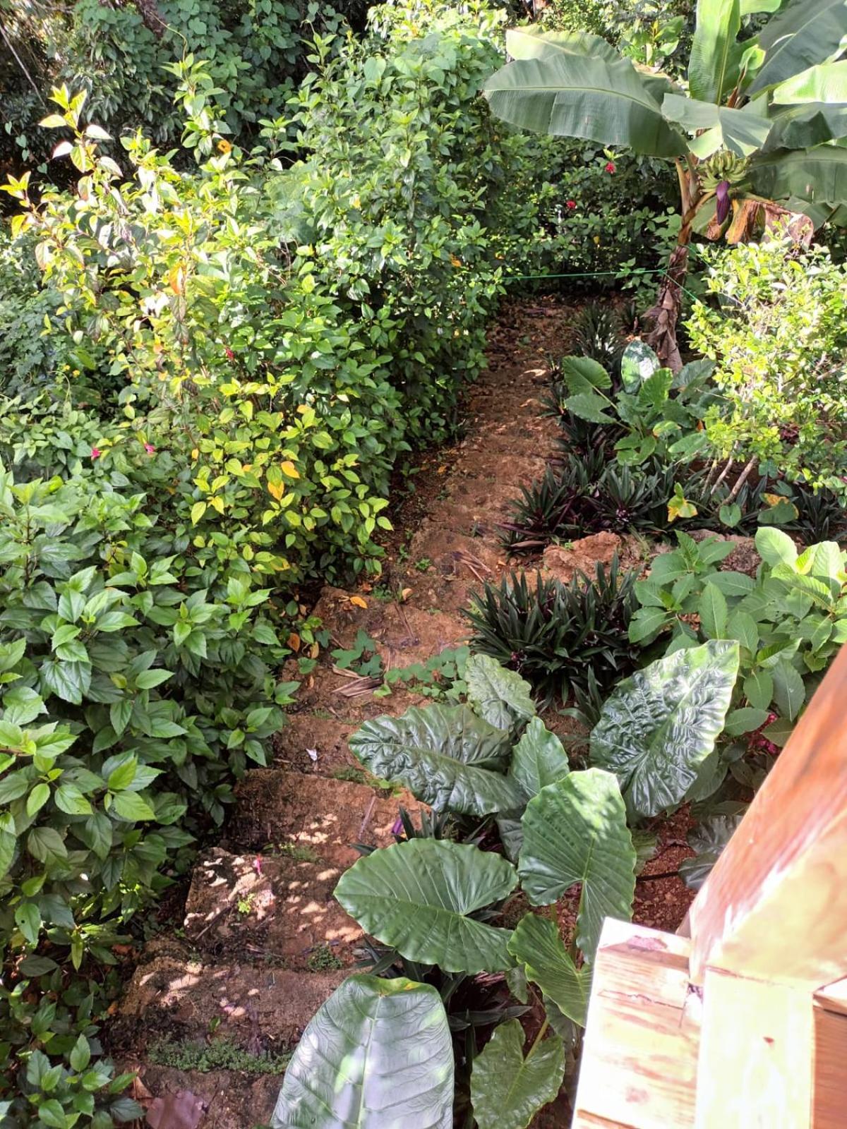 Samo Eco Lodge
