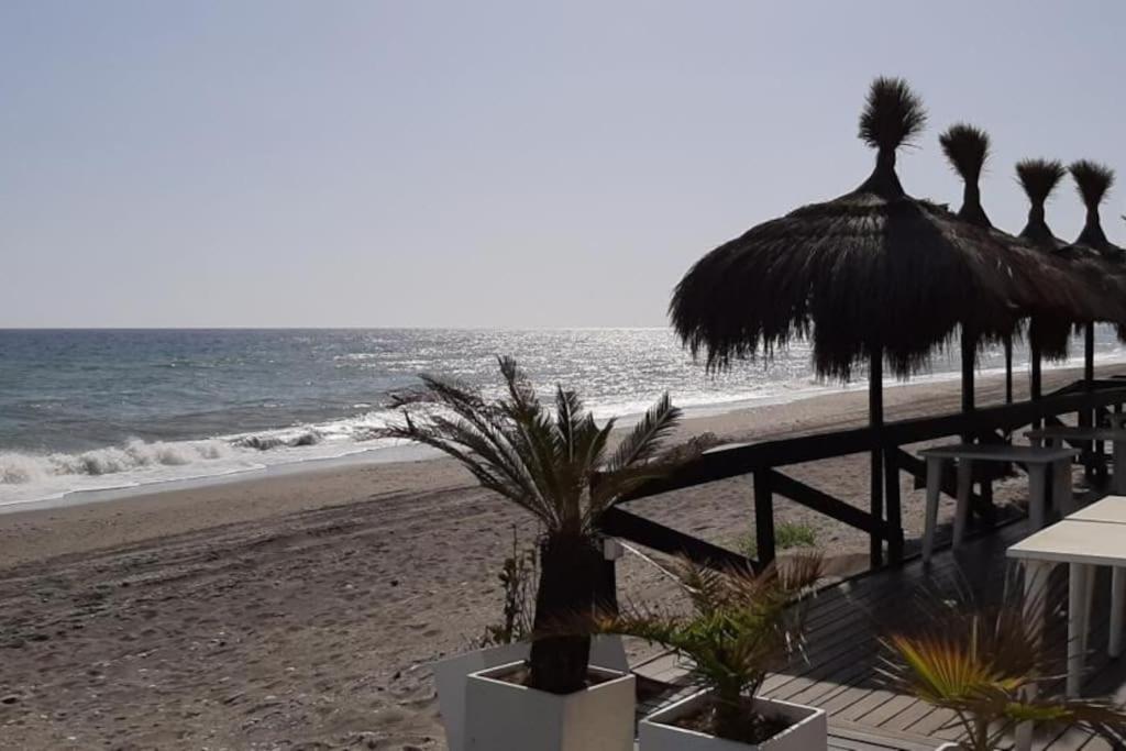 Disfrutar junto al mar