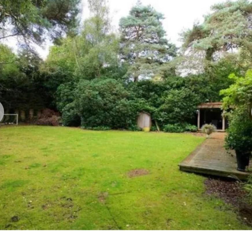 Beautiful Dorset Holiday Home in private grounds view 3