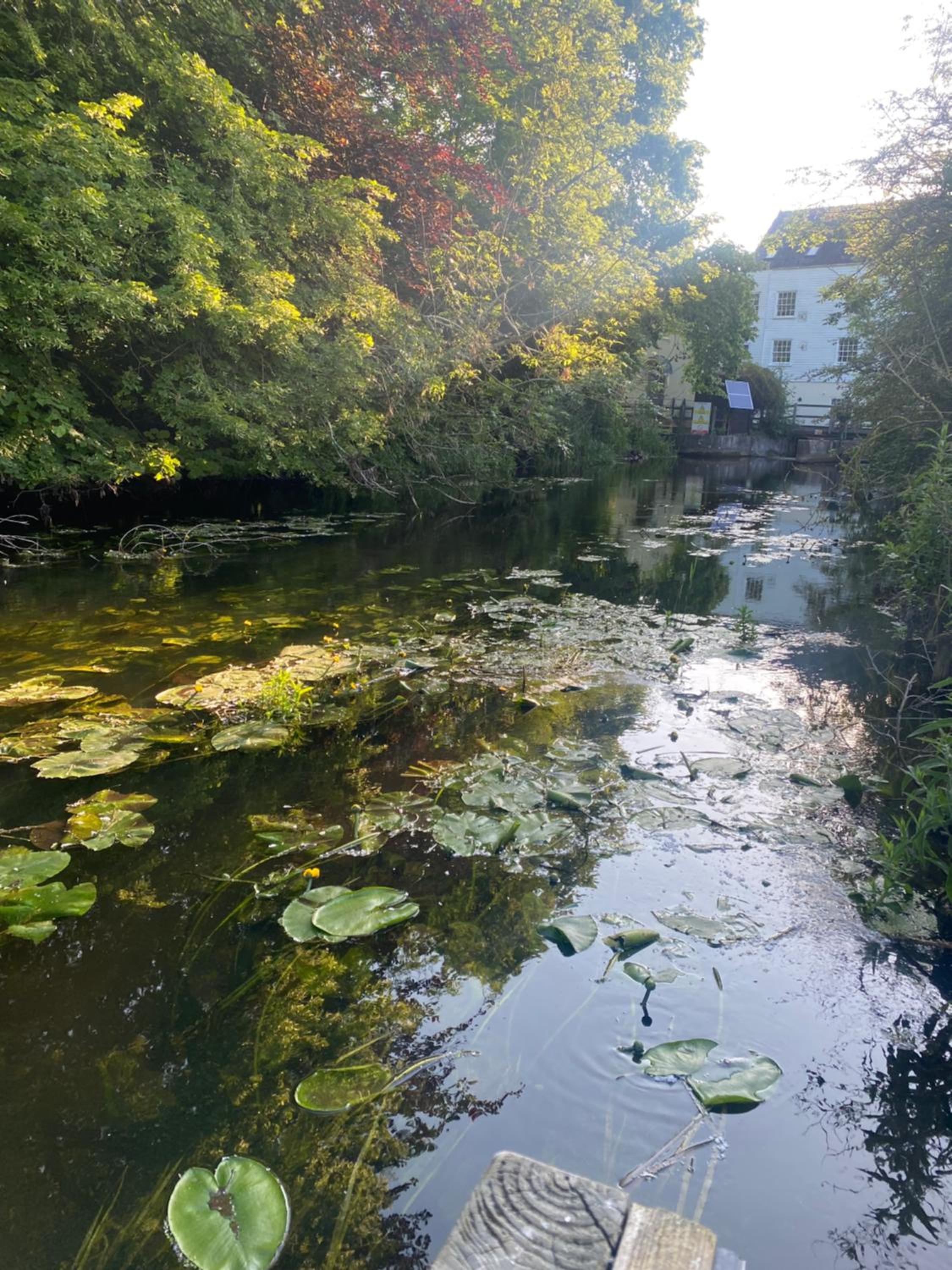 The Old Mill Cottage view 2