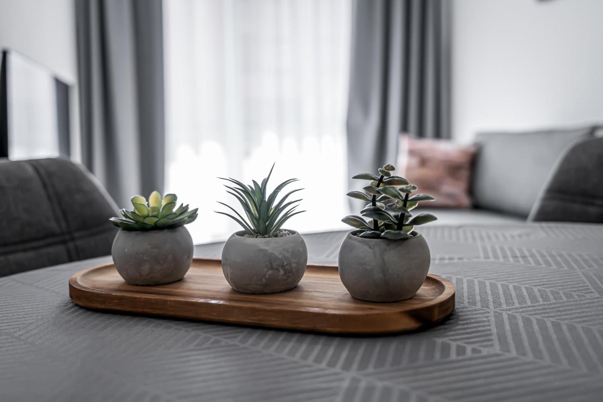 TATRA SUITES Apartment Living Park view 4