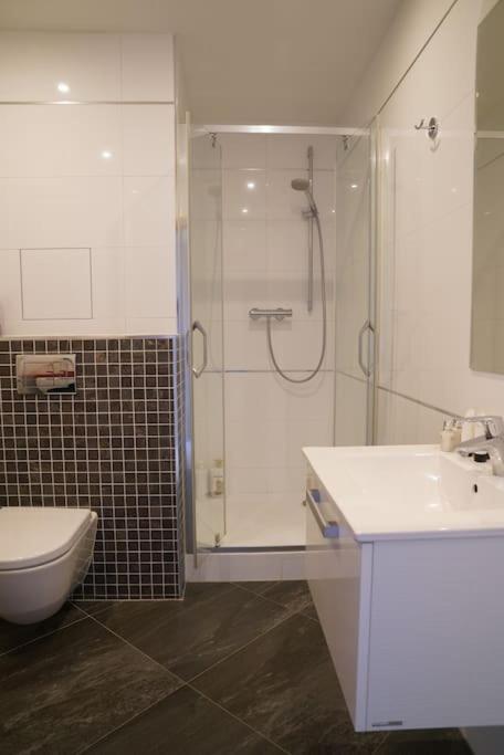 Design luxury apartment near the city center