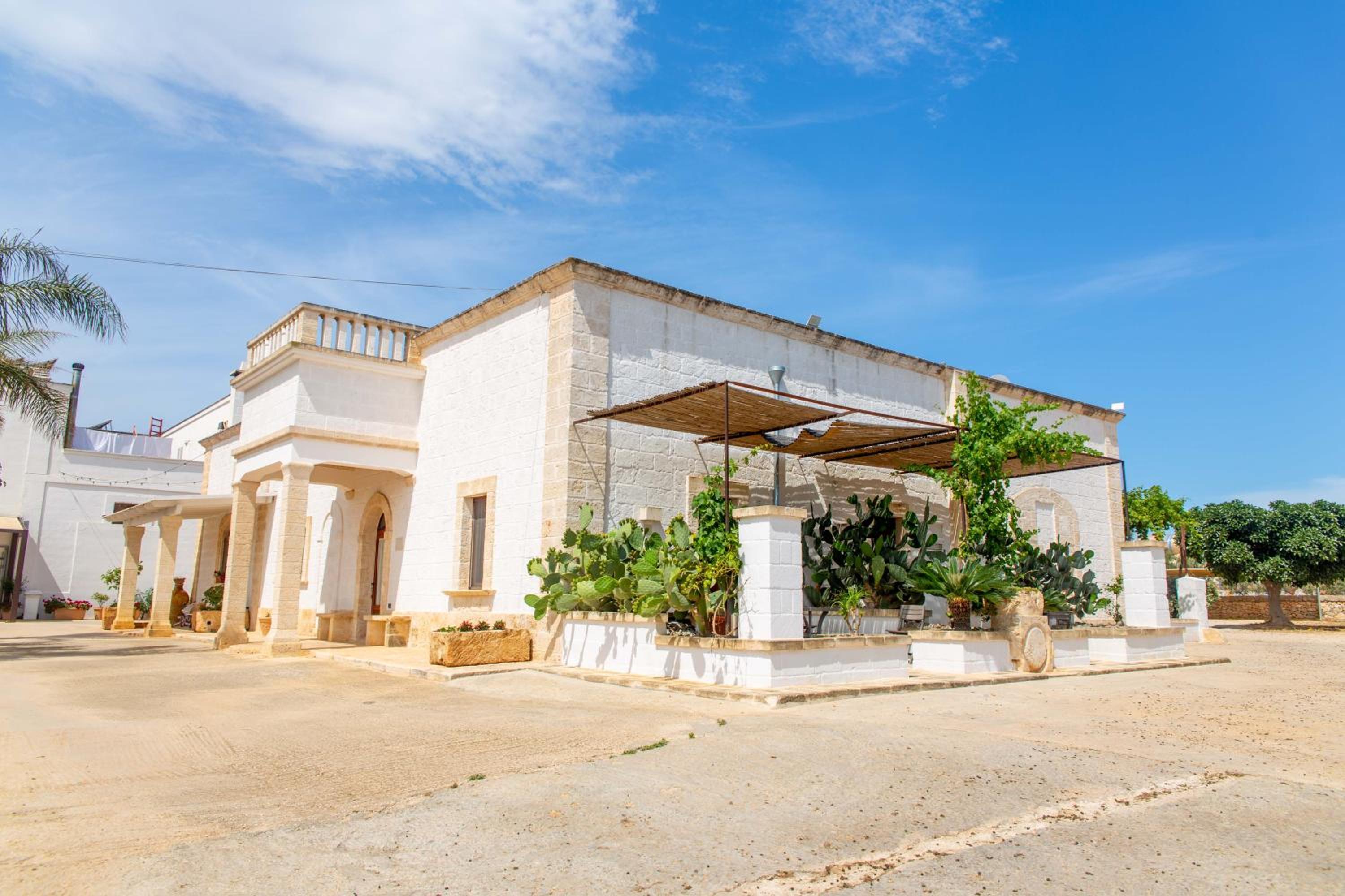 Lamapecora