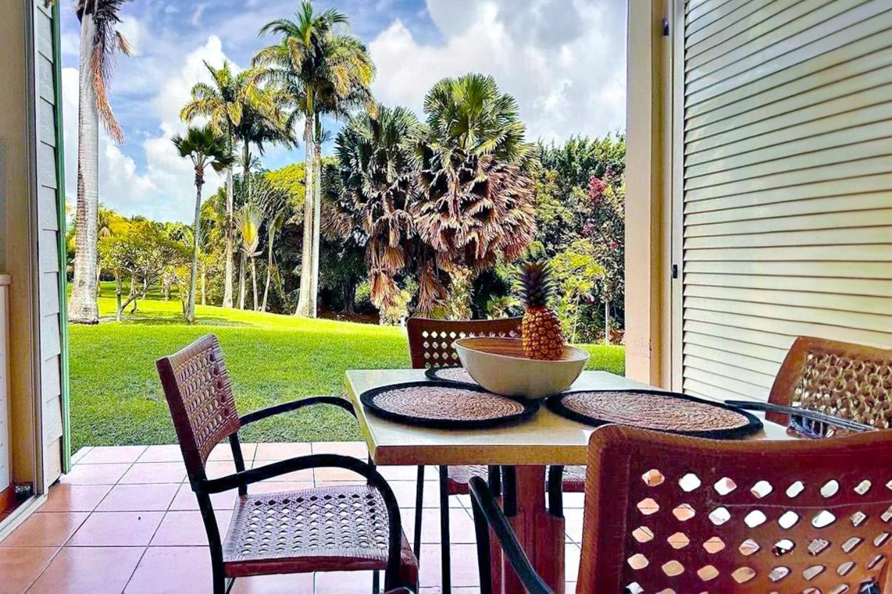 Studios Mitoyens Margarita 7 et 8 vue jardin Pierre et Vacances Marrtinique view 4