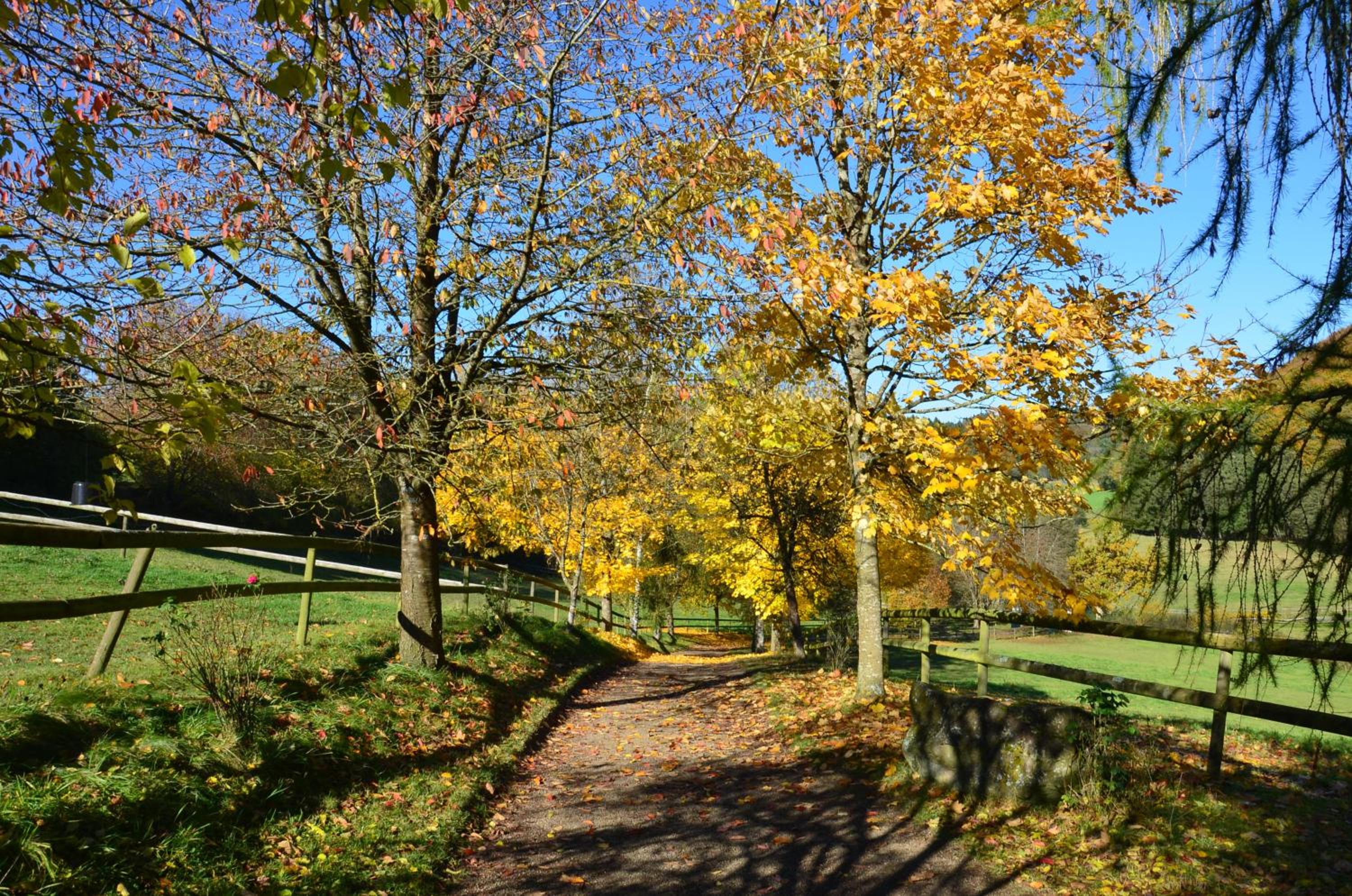 Landgut Pfauenhof - Landleben genießen auf dem Bio-Reiterhof in der Vulkaneifel