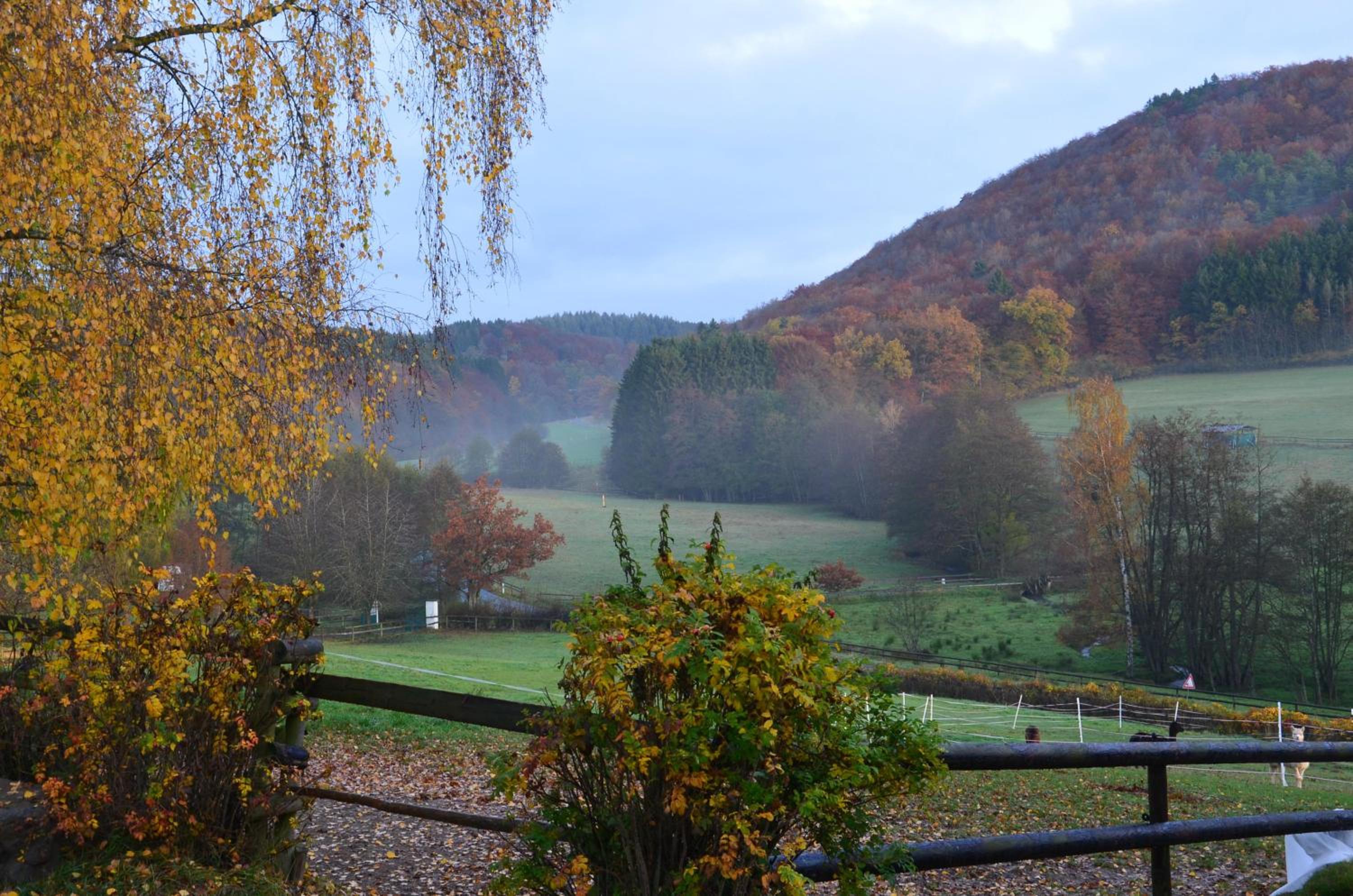 Landgut Pfauenhof - Landleben genießen auf dem Bio-Reiterhof in der Vulkaneifel