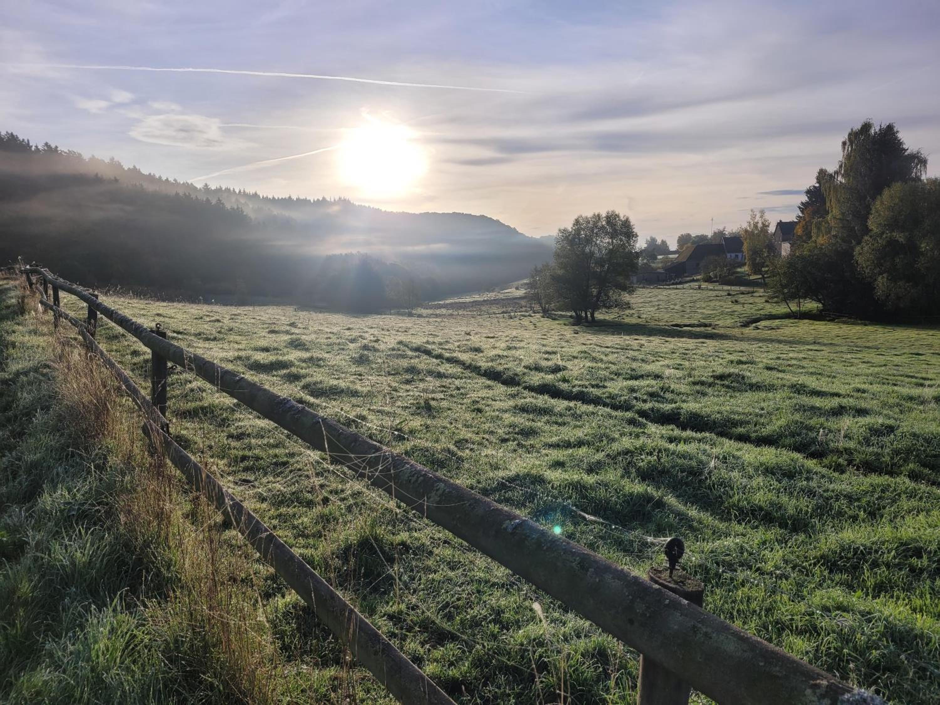 Landgut Pfauenhof - Landleben genießen auf dem Bio-Reiterhof in der Vulkaneifel