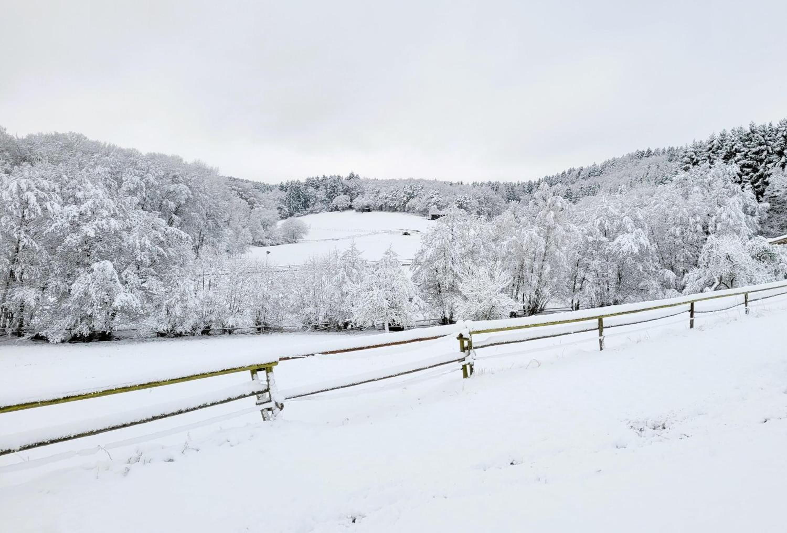 Landgut Pfauenhof - Landleben genießen auf dem Bio-Reiterhof in der Vulkaneifel