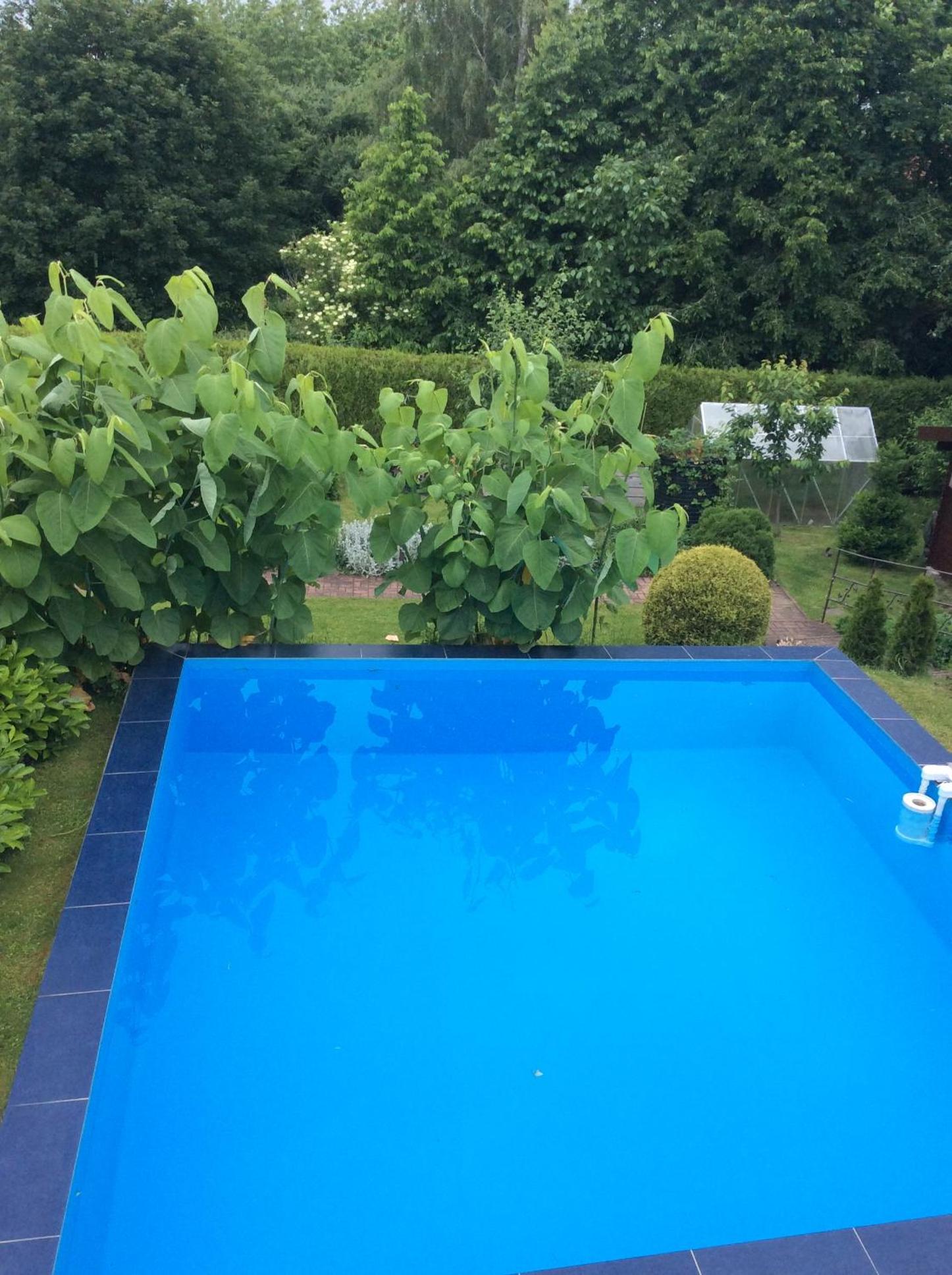 Ferienhaus Greiling view 2