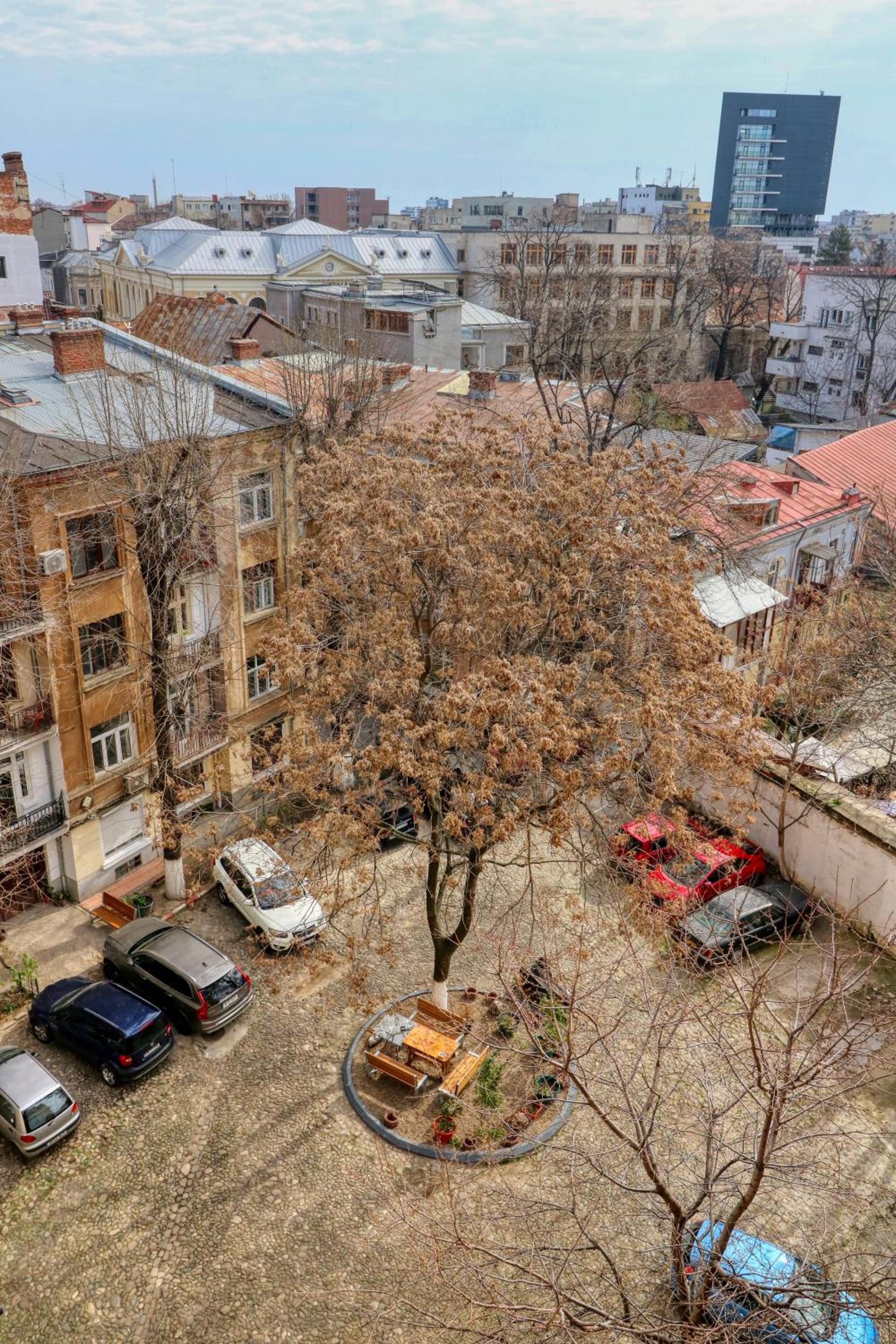 Photo 19