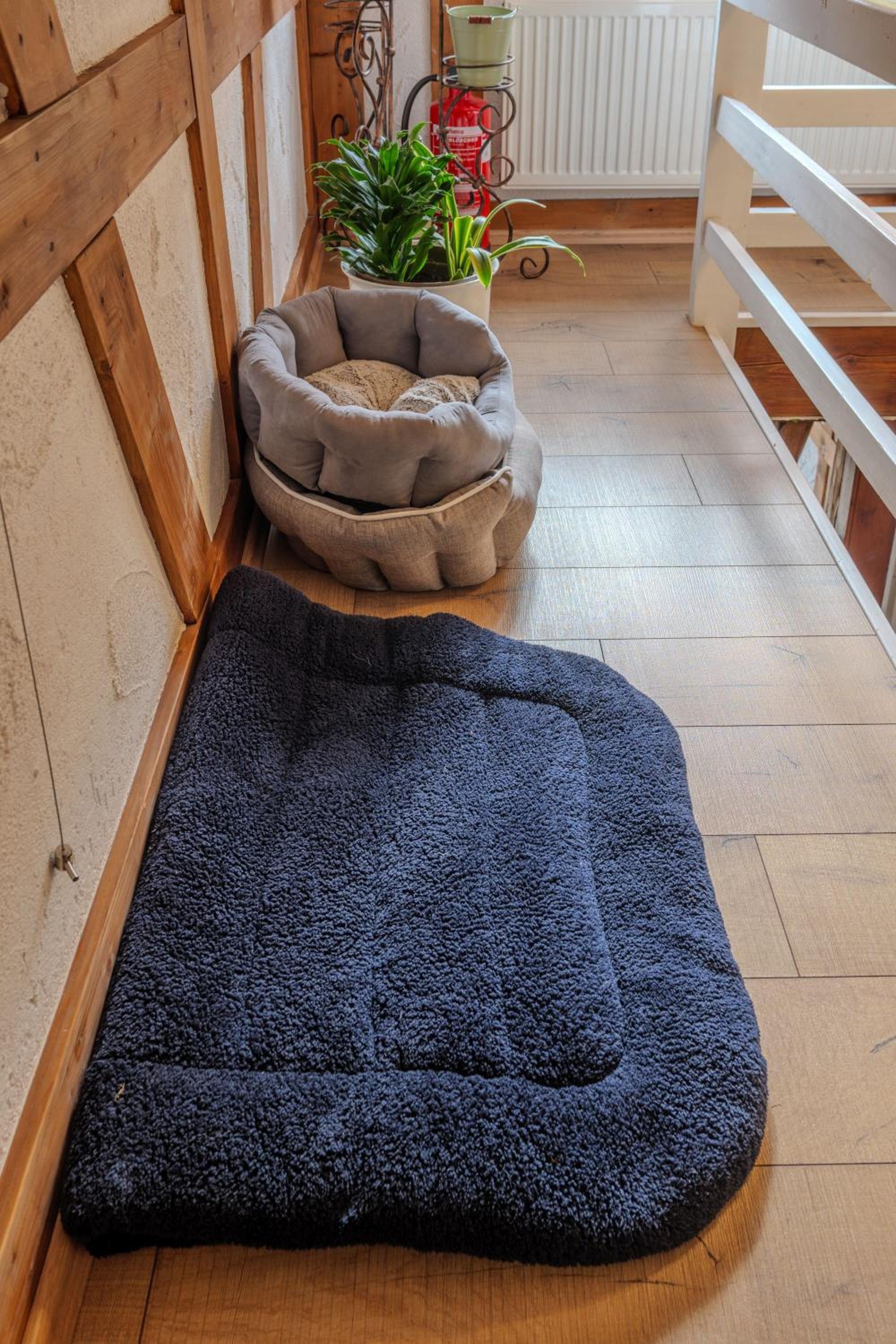 Forsthaus Trabronn | Sauna | eingezäunt | Grillplatz