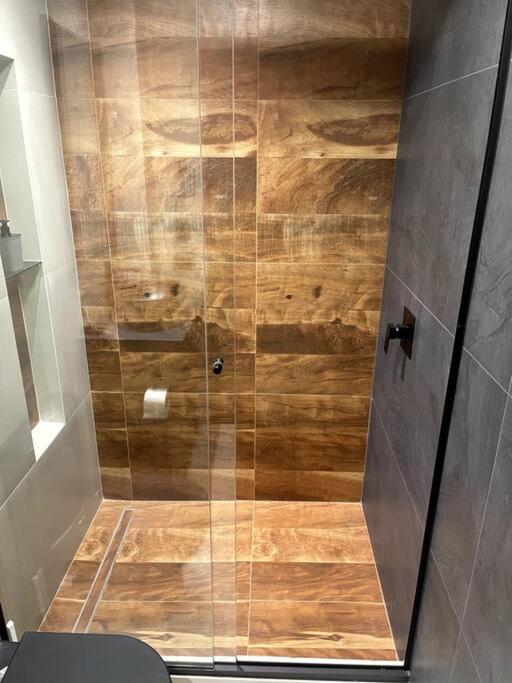 Luxury Apartment near Fidel Anze