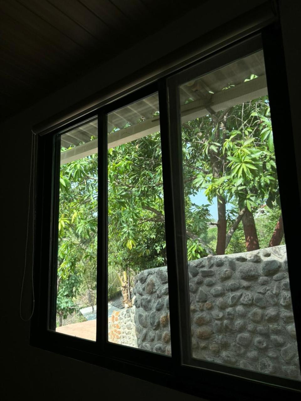 Photo 35