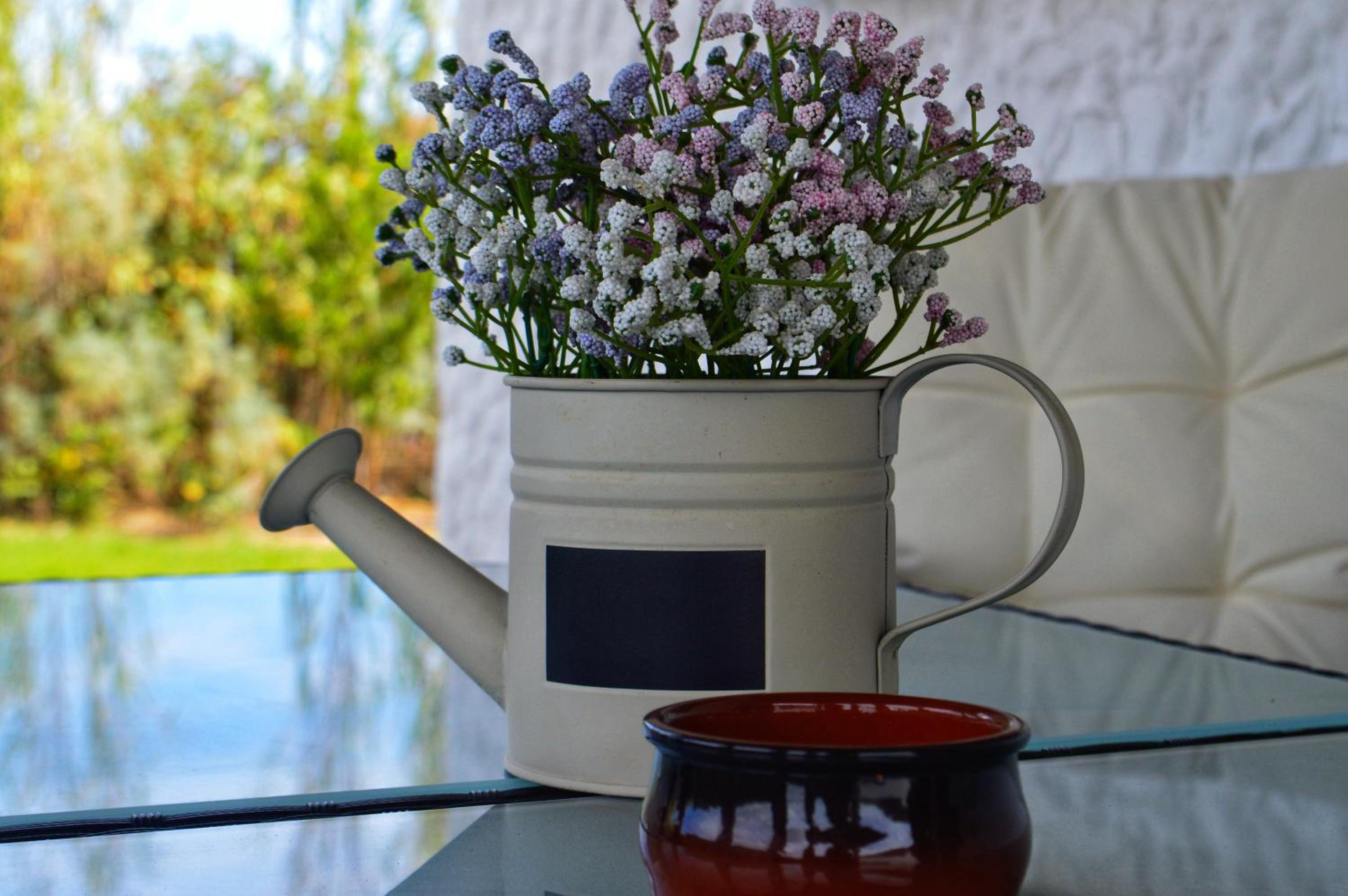 Casa Vacanza da Albino photo 2