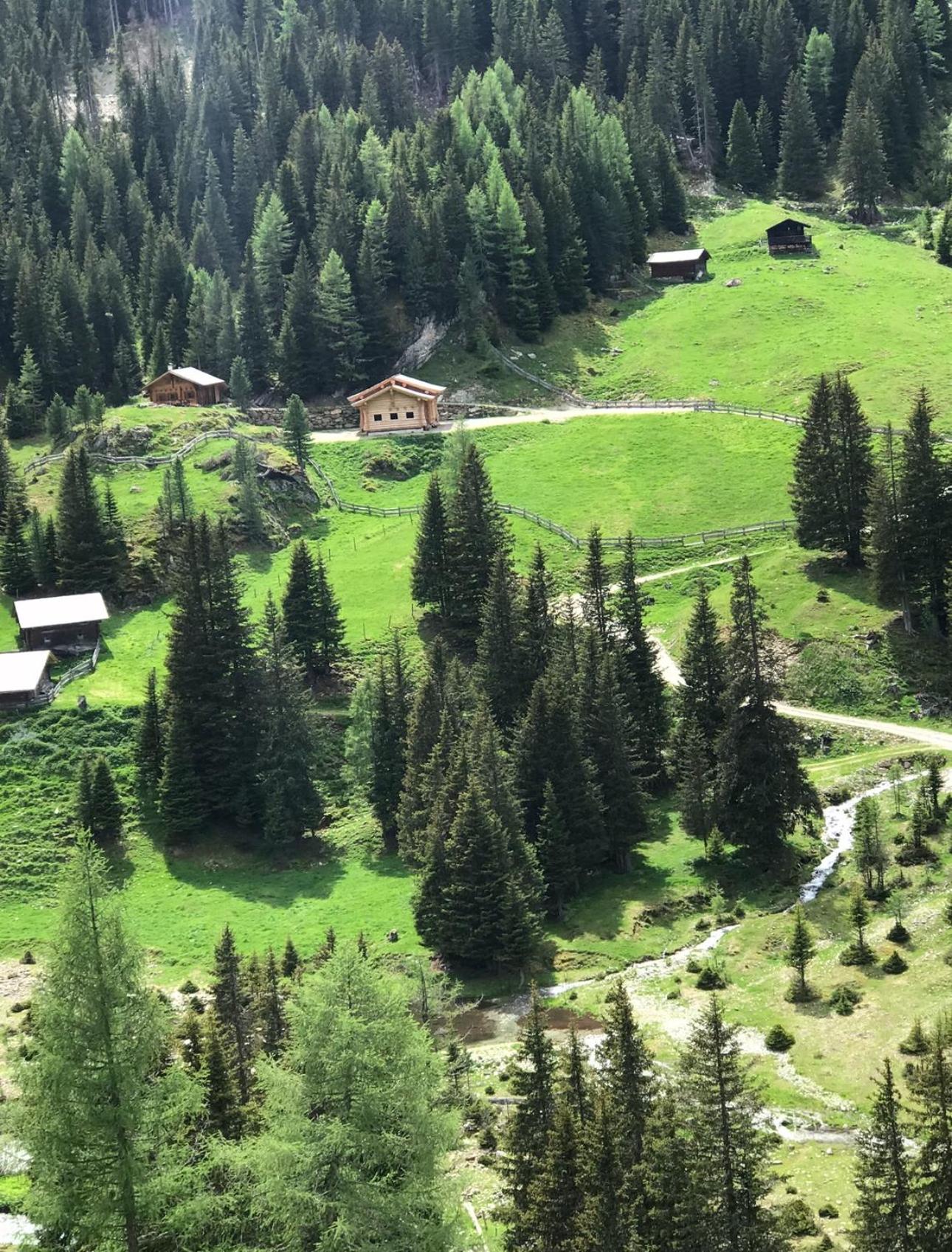 Dabernighütte