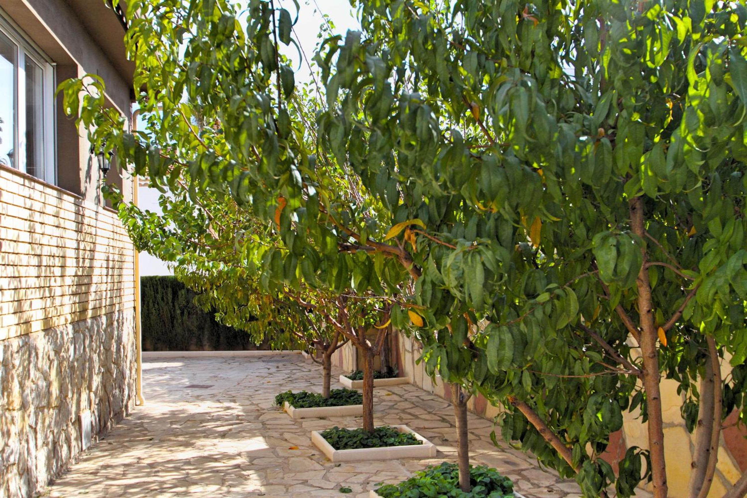ARENDA Villa Flandes Pino Alto view 4