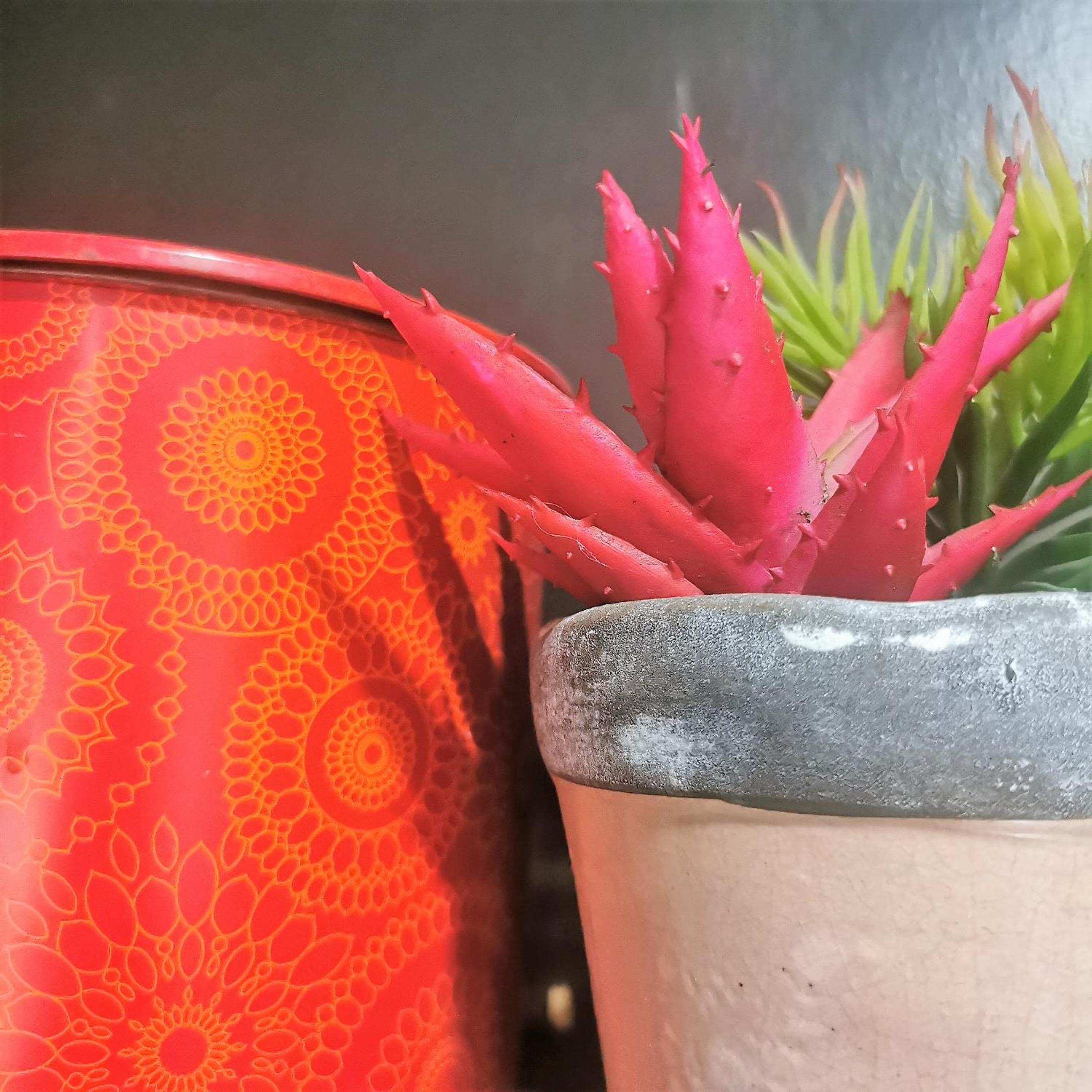 LACASITA STANFORD Quirky self-catering accommodation