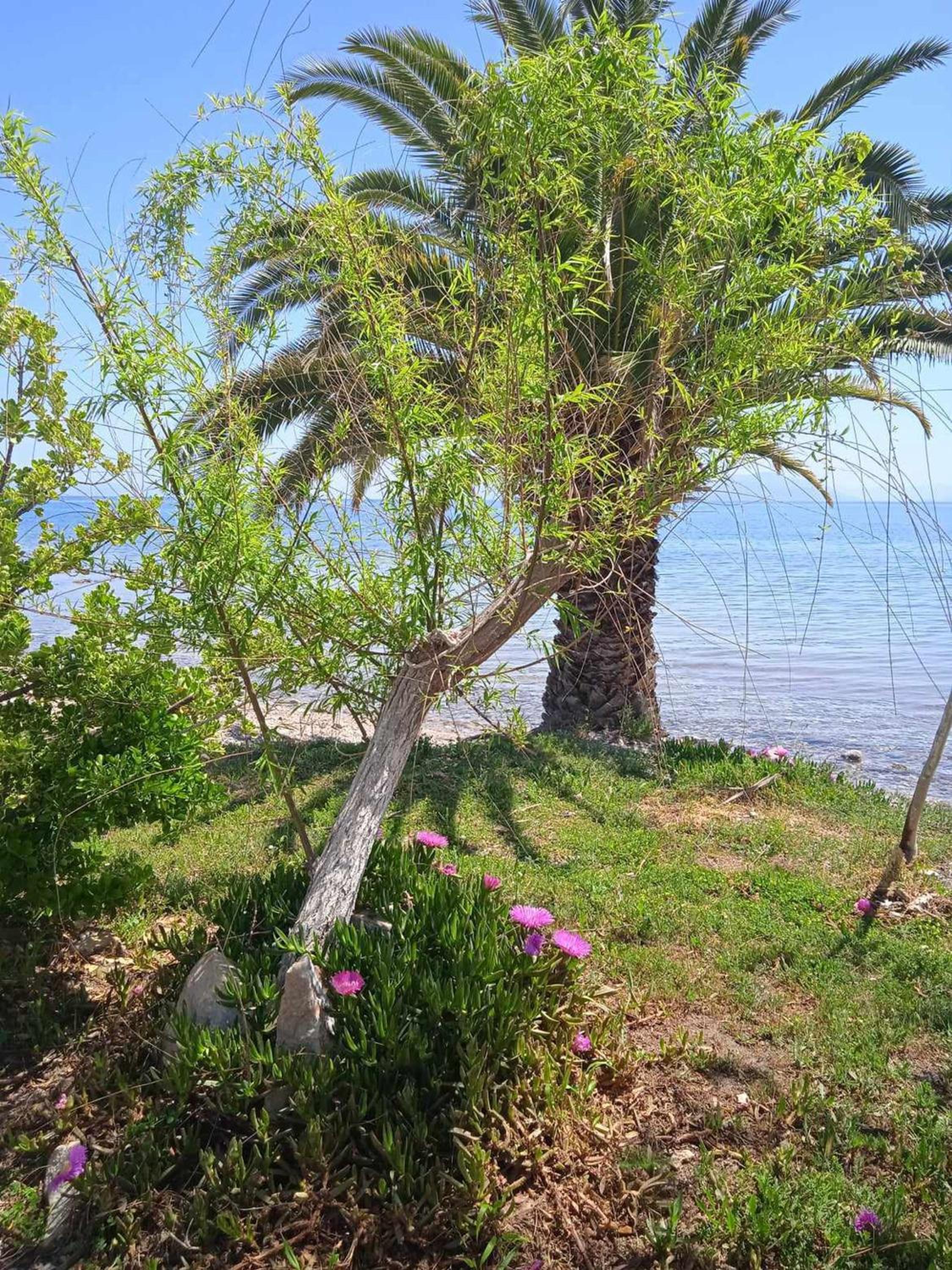 Alonaki Seafront Cottage