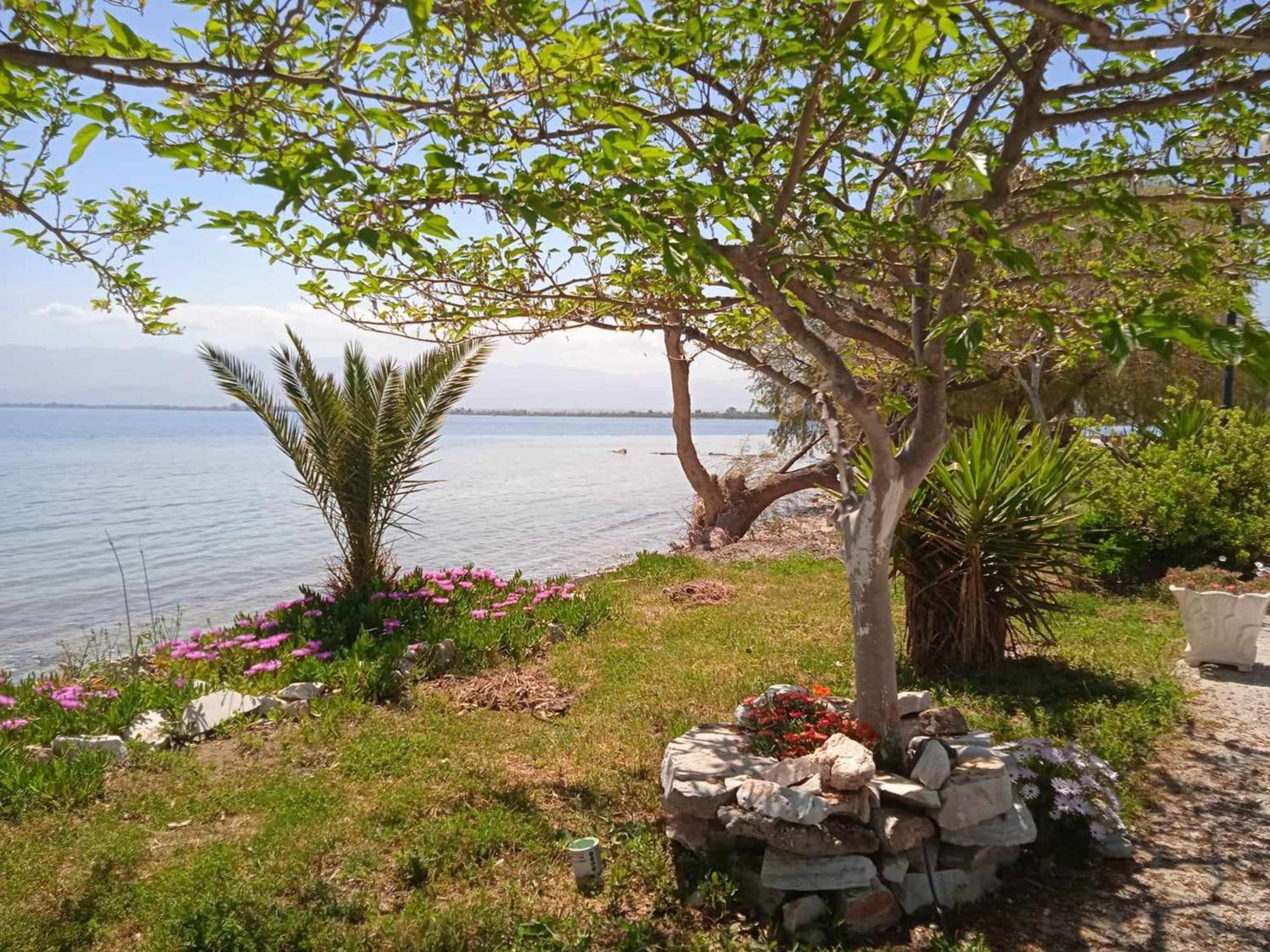 Alonaki Seafront Cottage