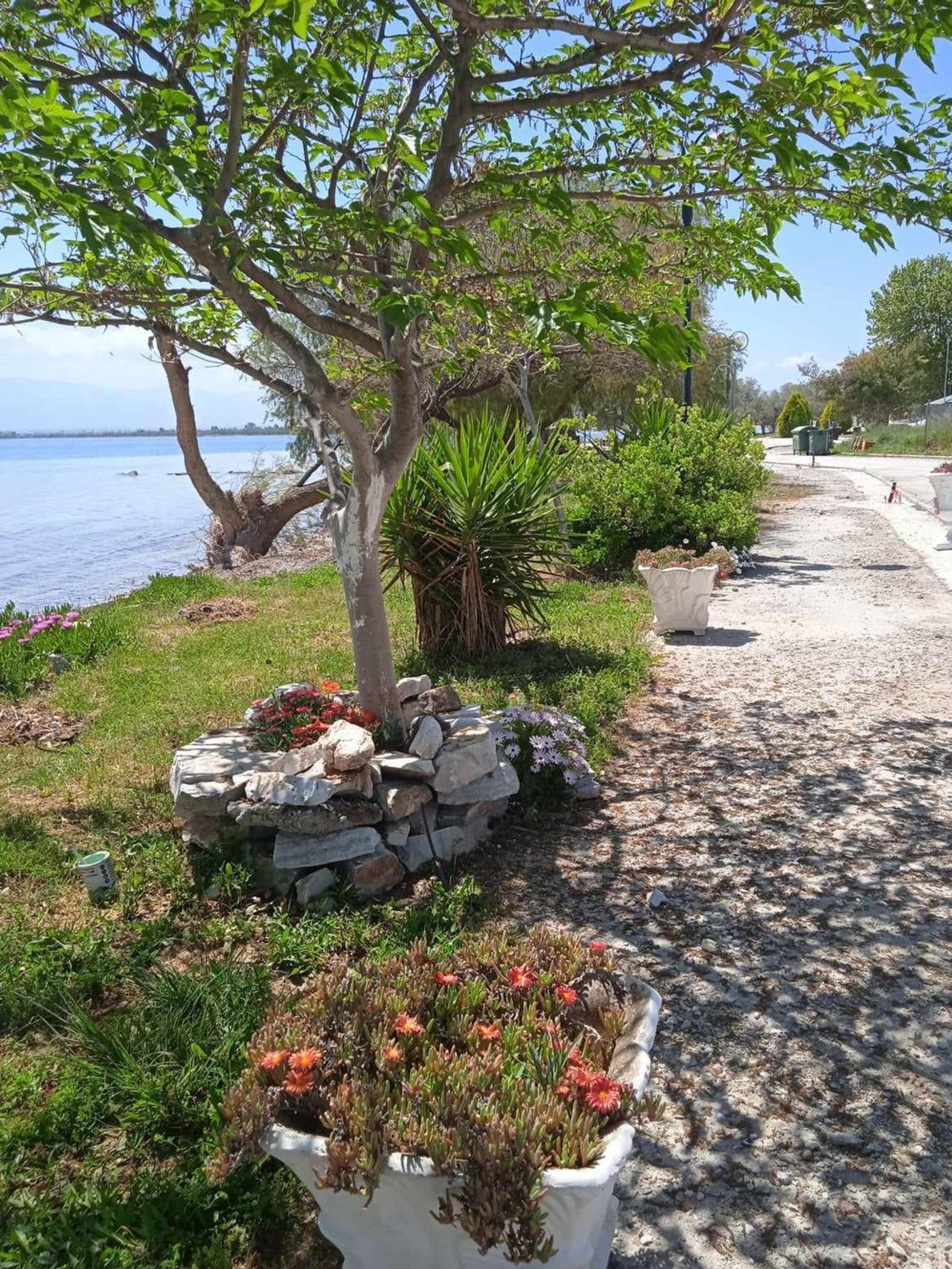 Alonaki Seafront Cottage