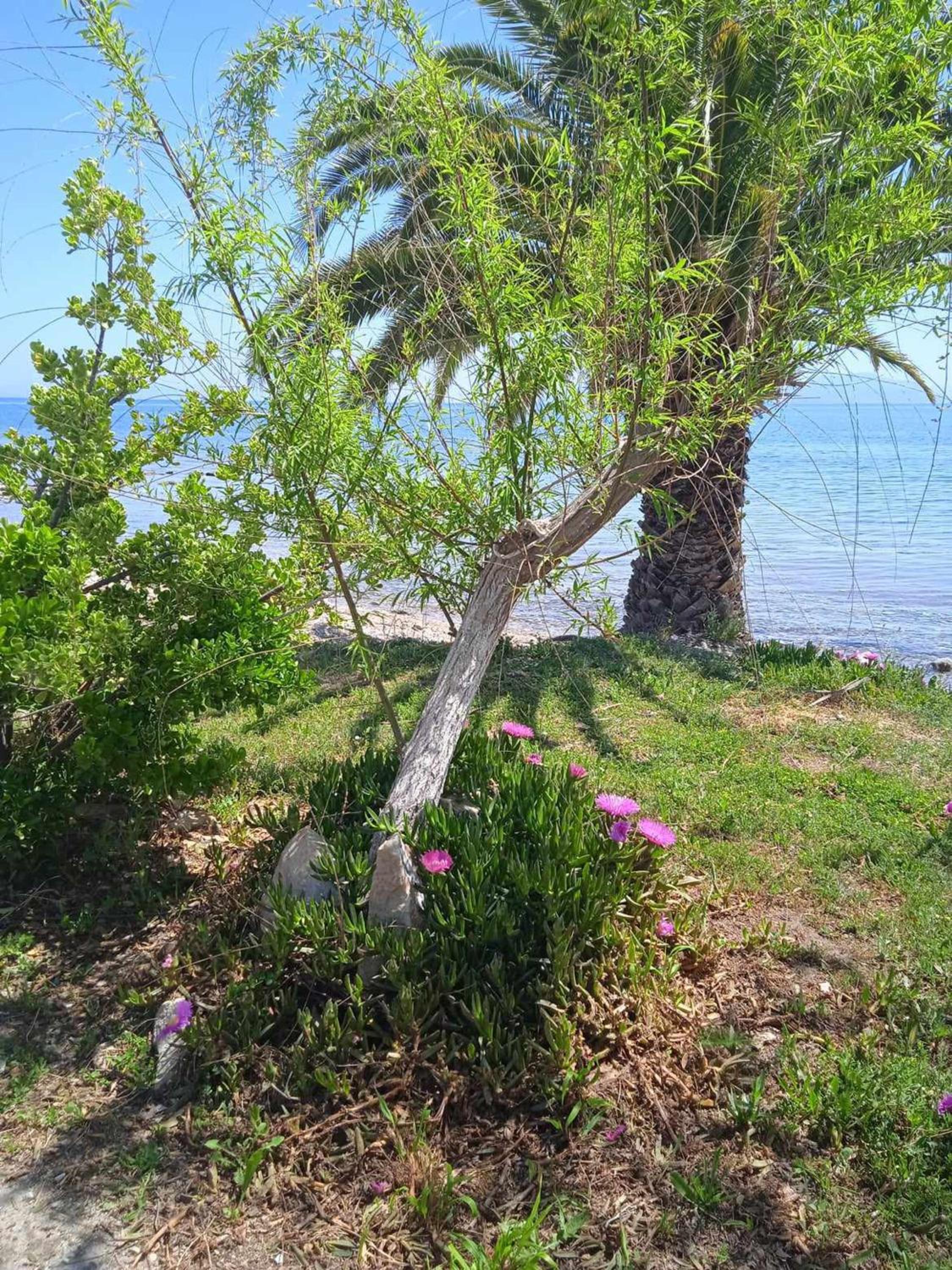 Alonaki Seafront Cottage