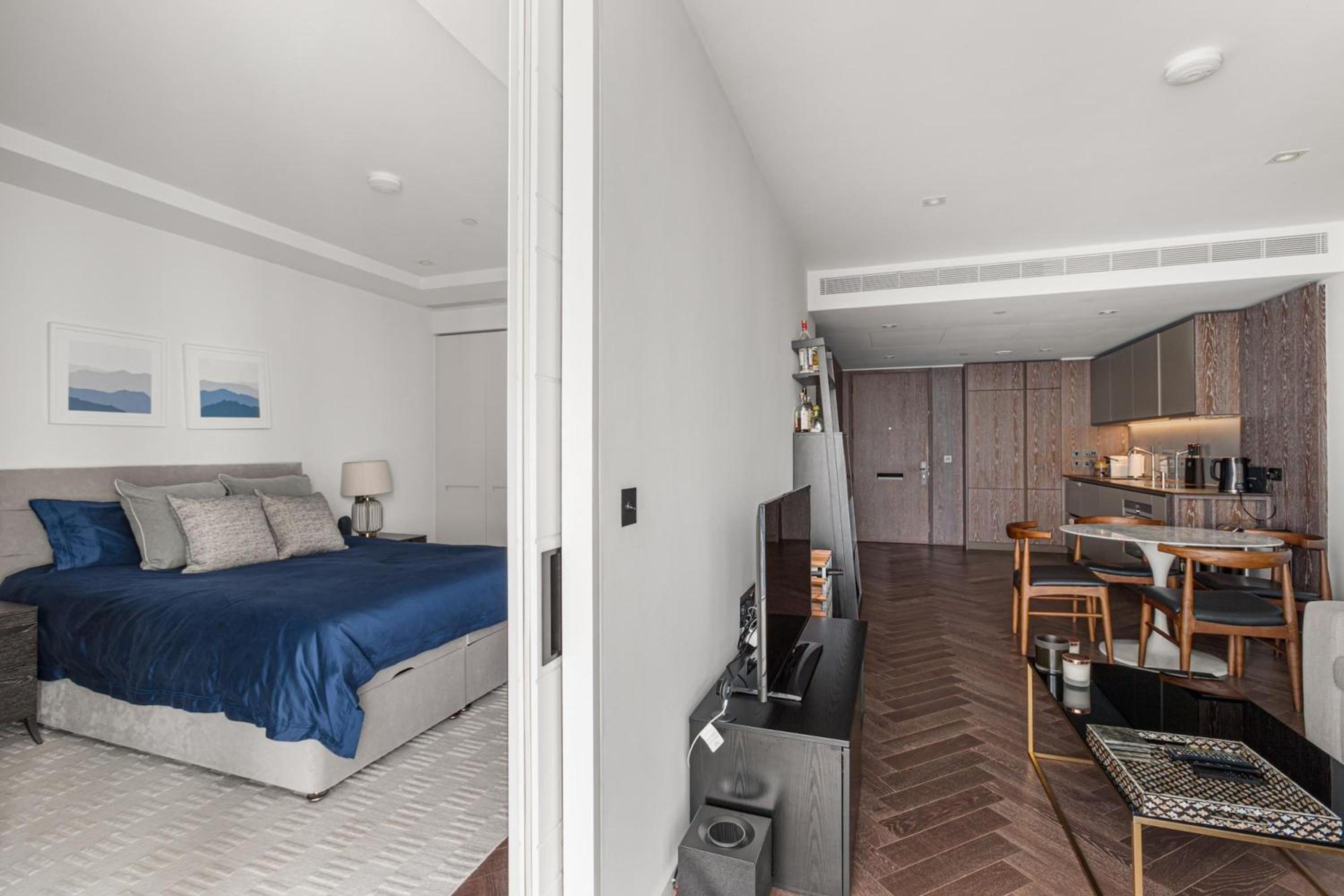 Battersea Power station flat with River views