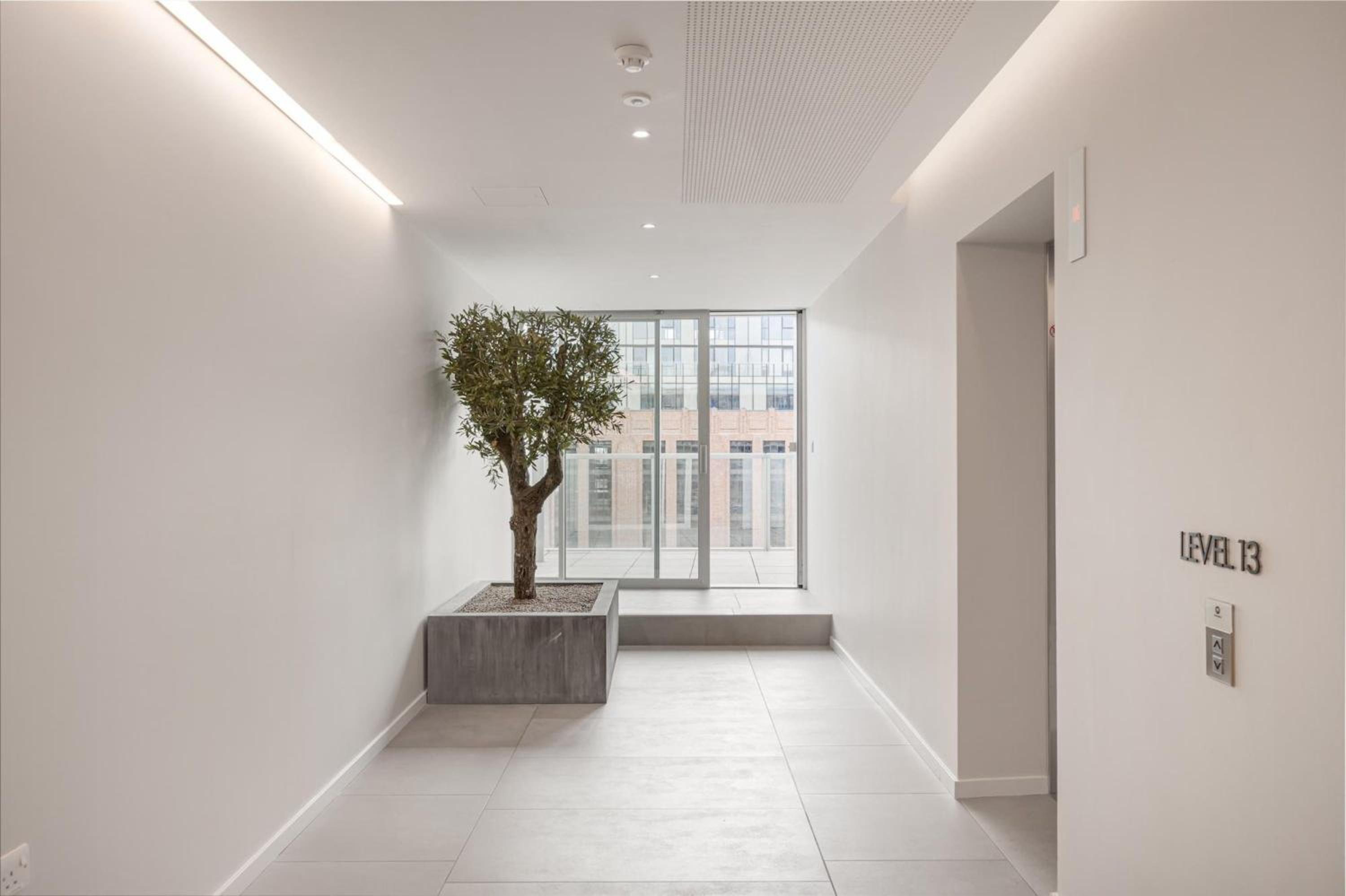 Battersea Power station flat with River views