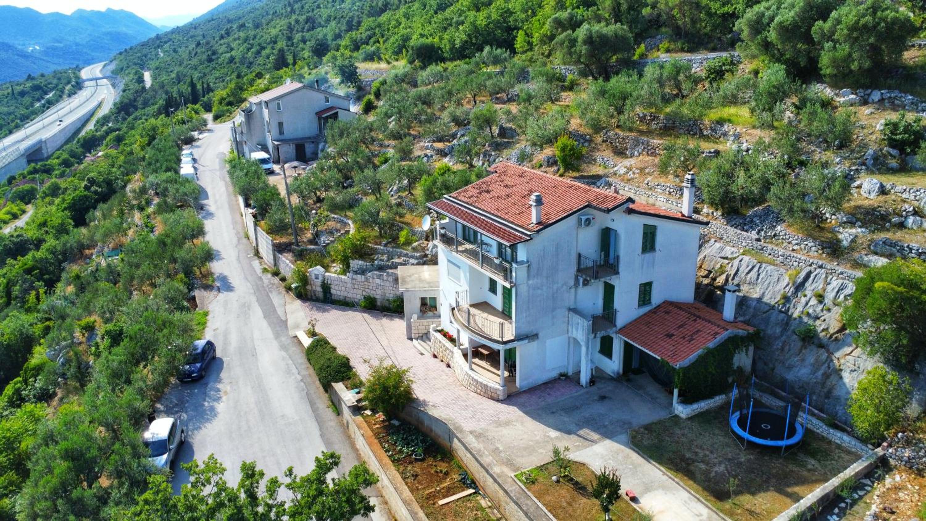 Apartman Maslina