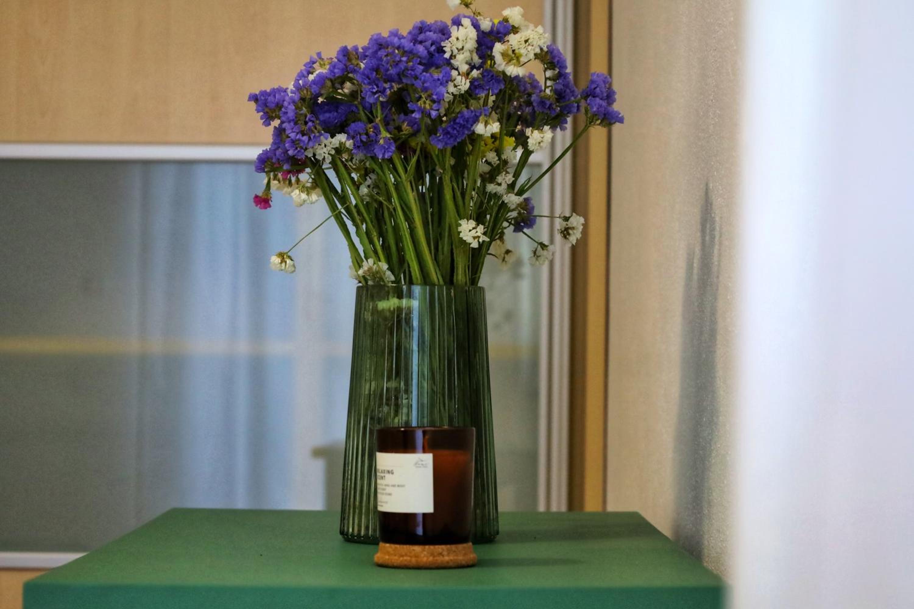 Apartman Maslina