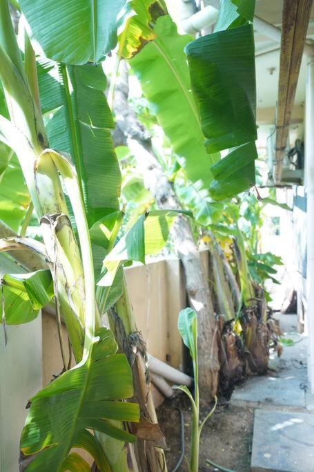 Janhvi's Homestay - Boho Theme 1BHK - Near Airport view 2