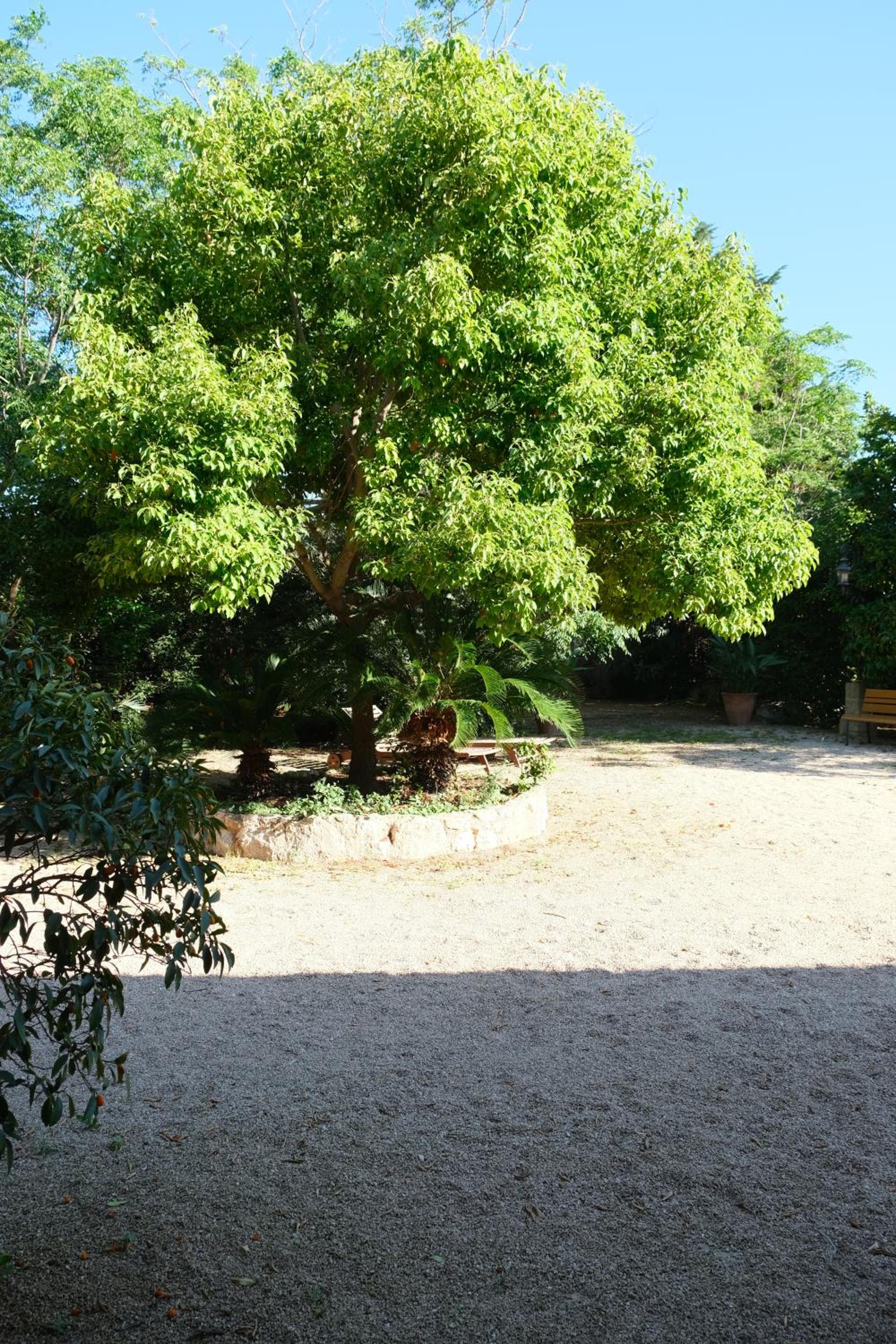 Photo 20