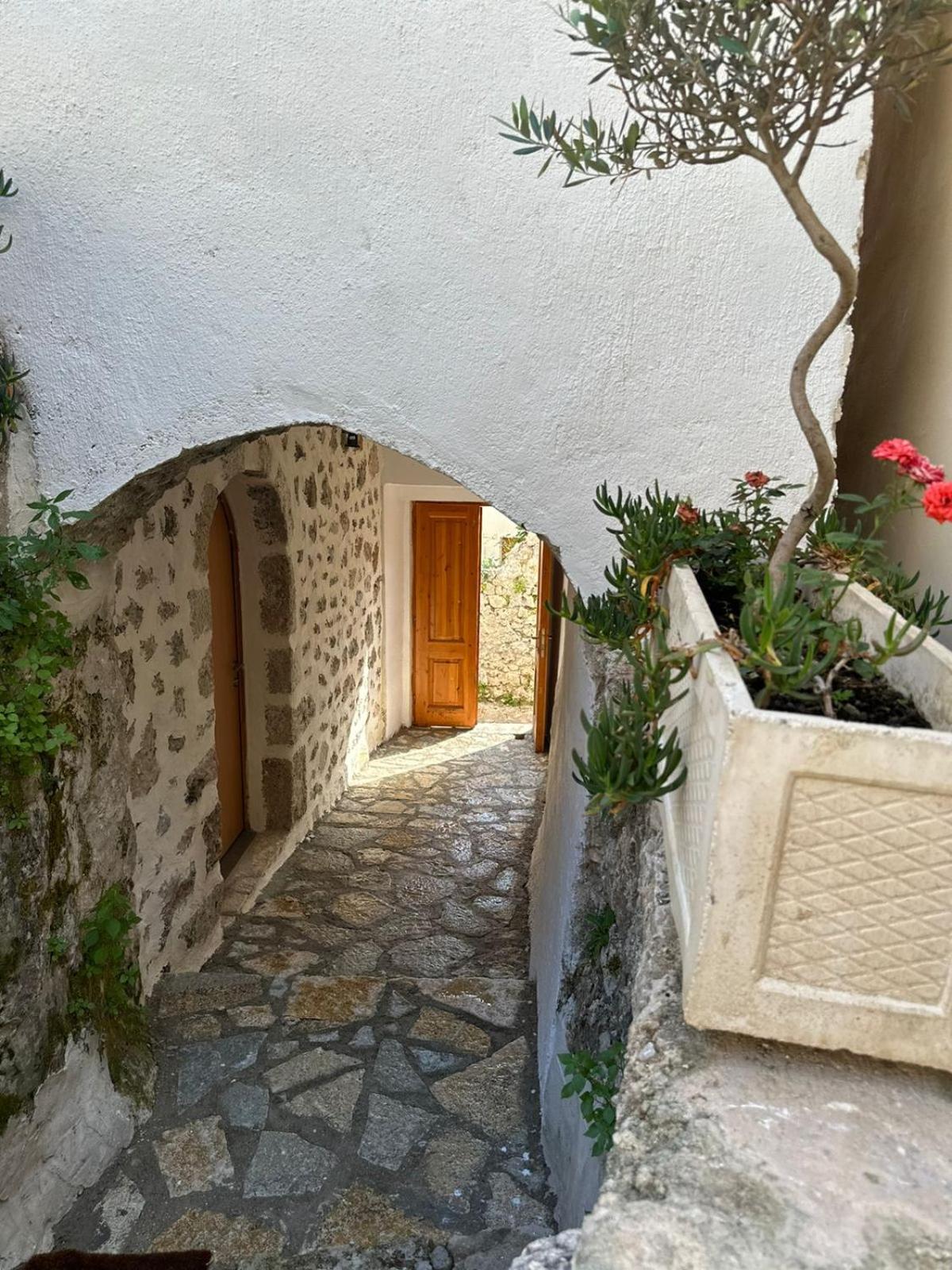 LION'S VILLA