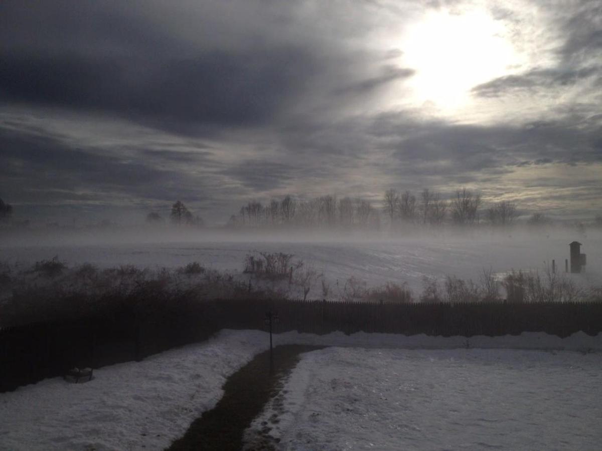 Photo 44