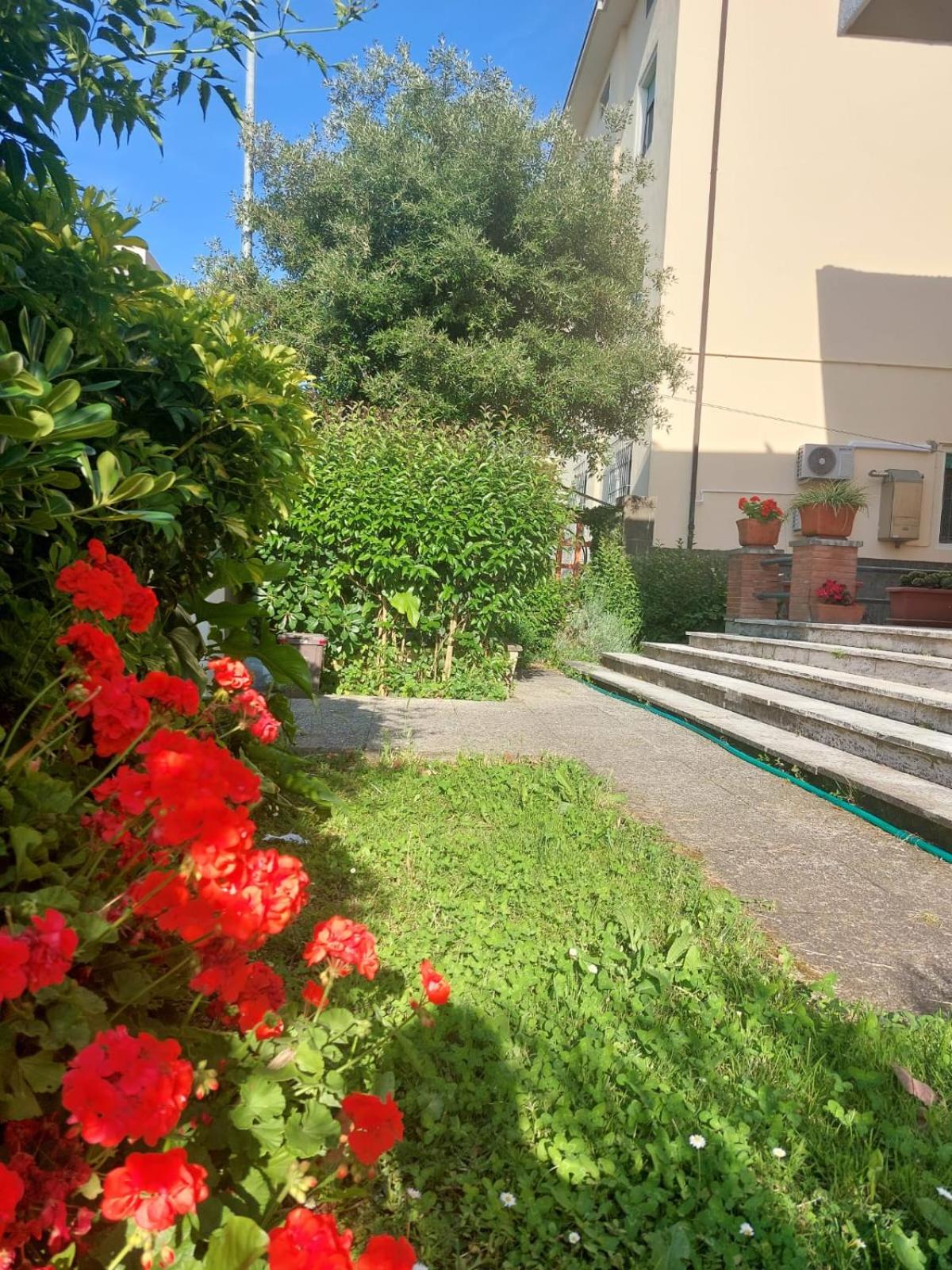 Villa Mehari view 5