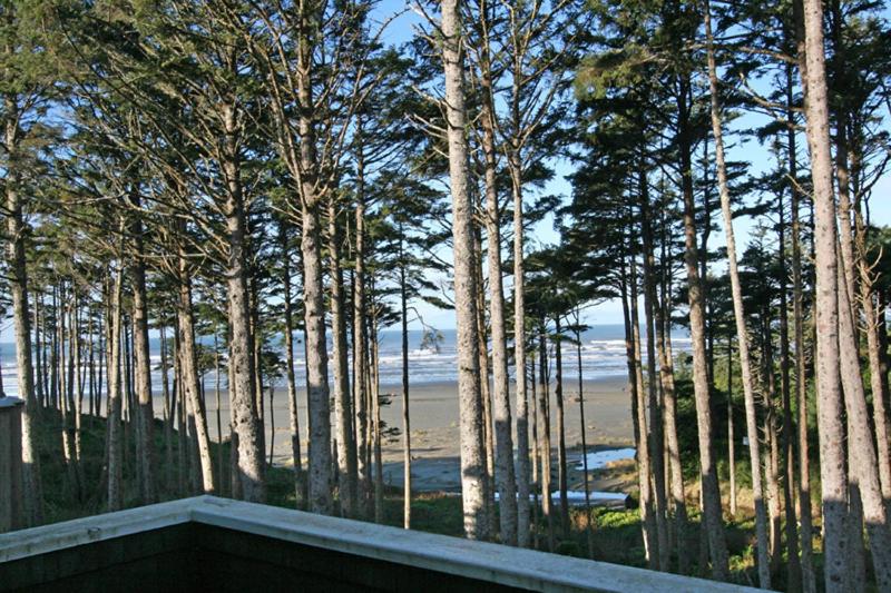 Oceanaire by Seabrook Hospitality view 2