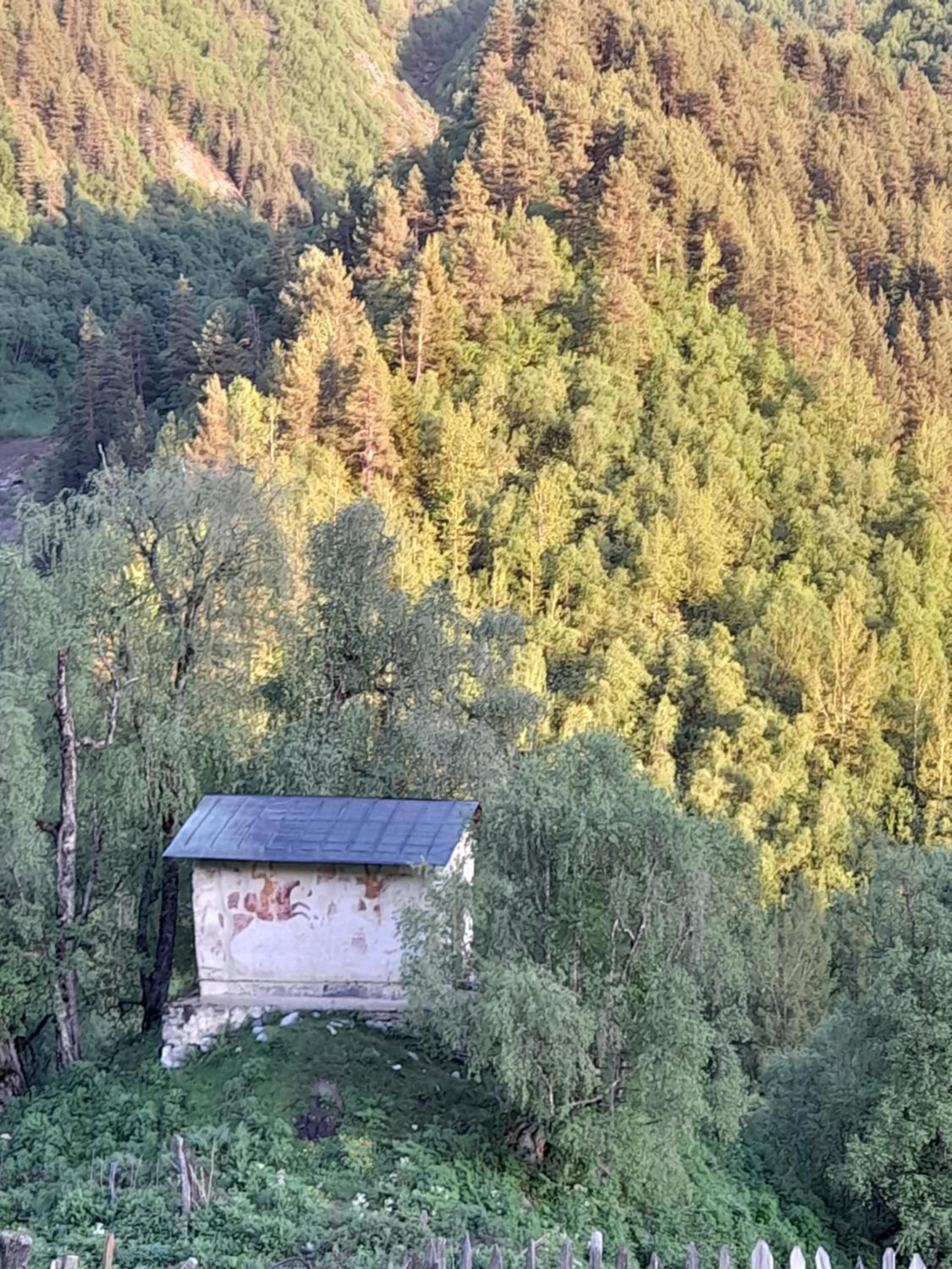 Adishi Zhora Kaldani Guest House view 2