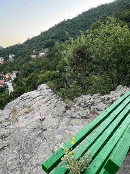 Rodopi Mountain Village House