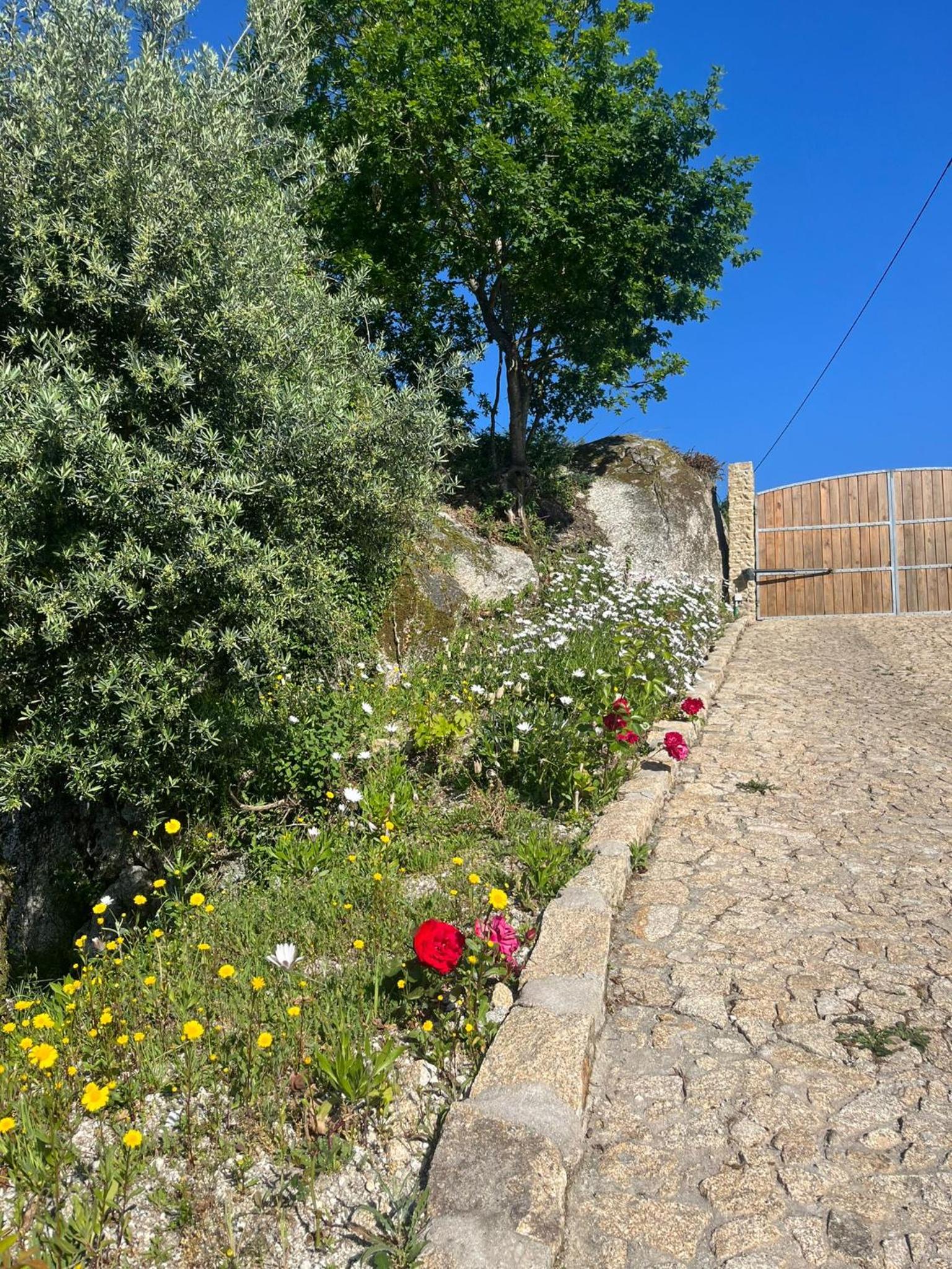 Photo 44
