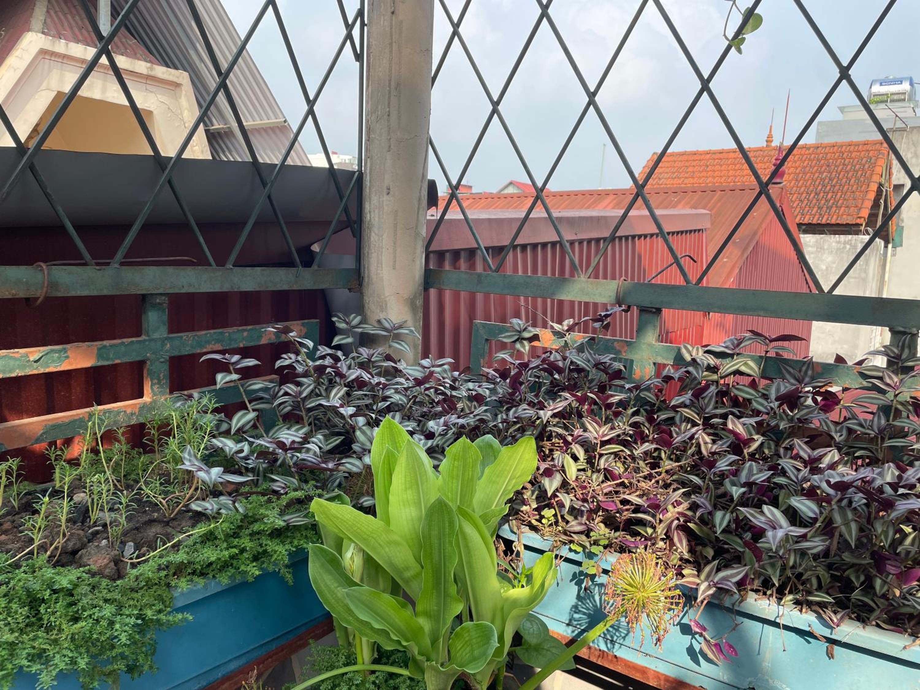 roof