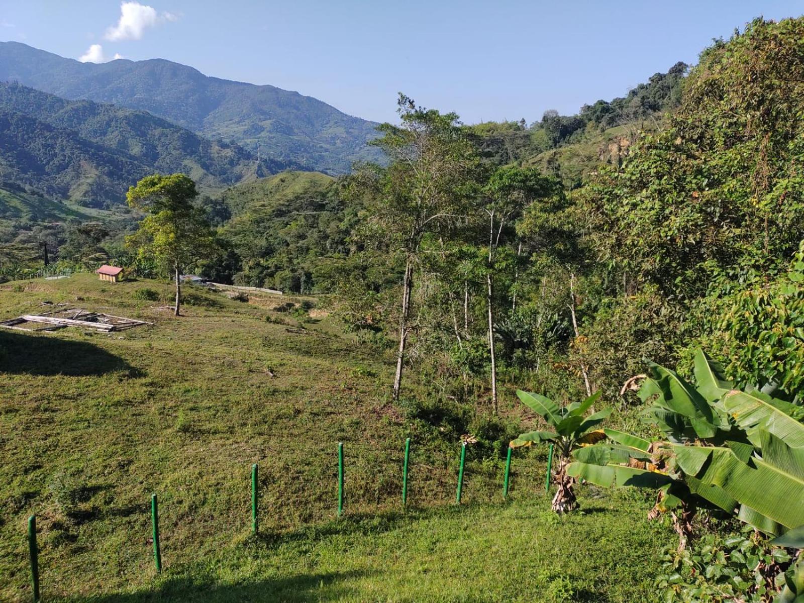 Eco Hotel Birdland en Buga Valle