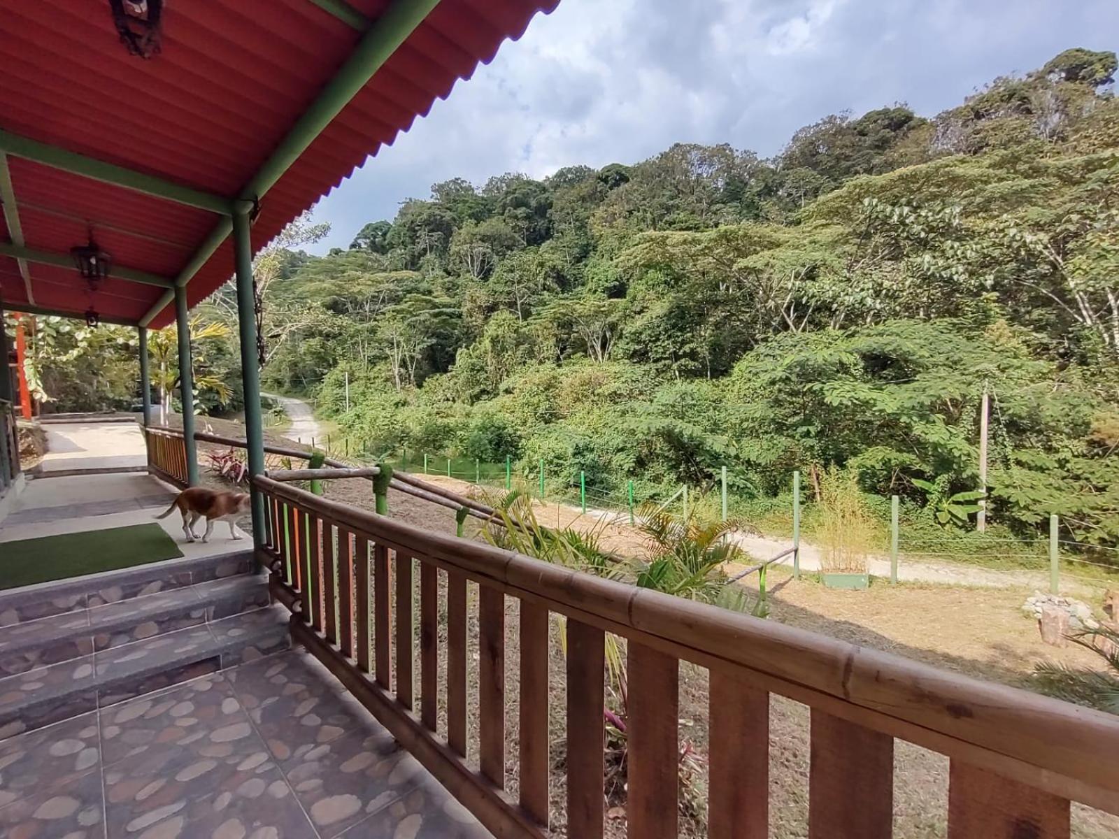 Eco Hotel Birdland en Buga Valle