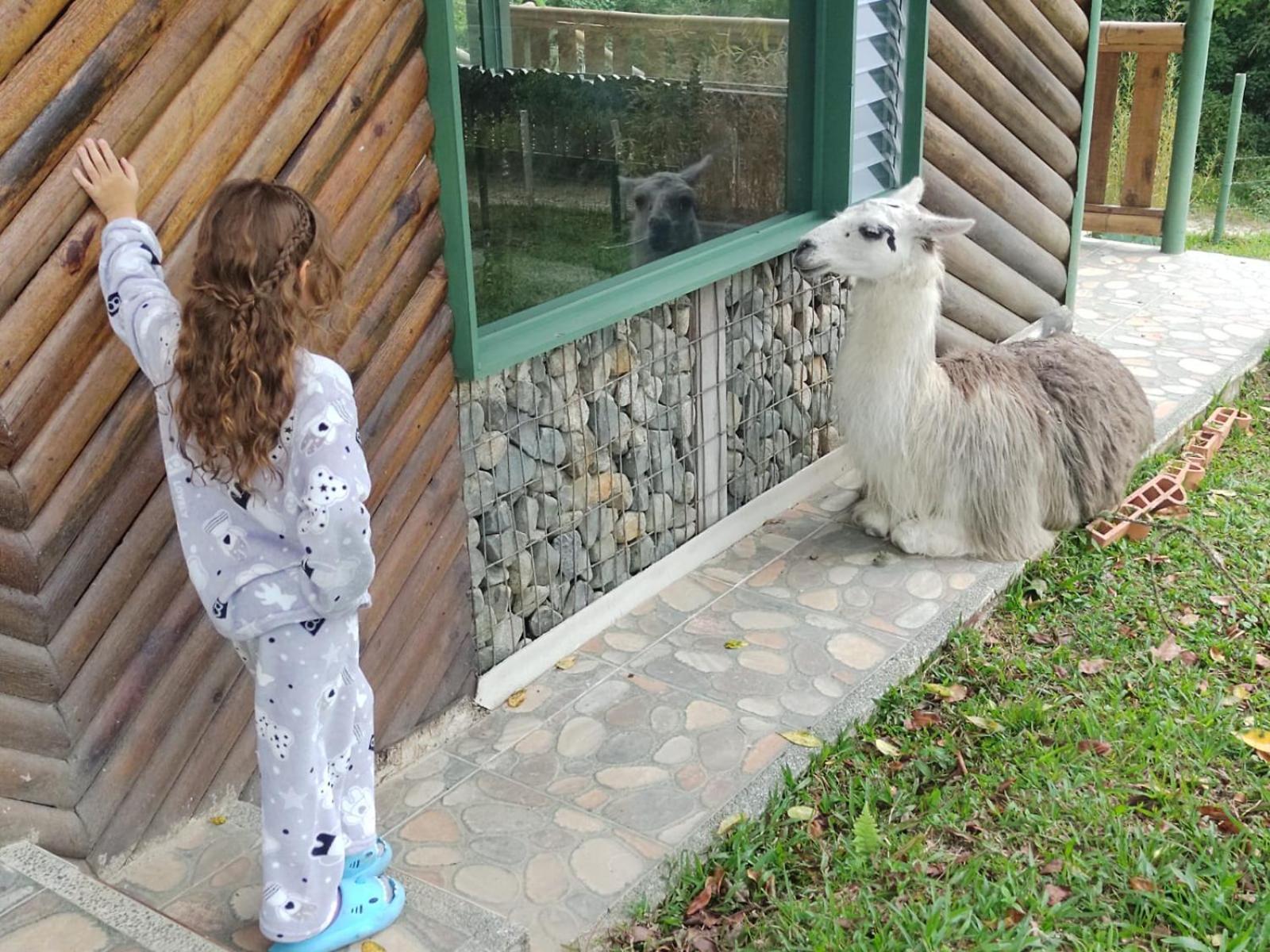 Eco Hotel Birdland en Buga Valle