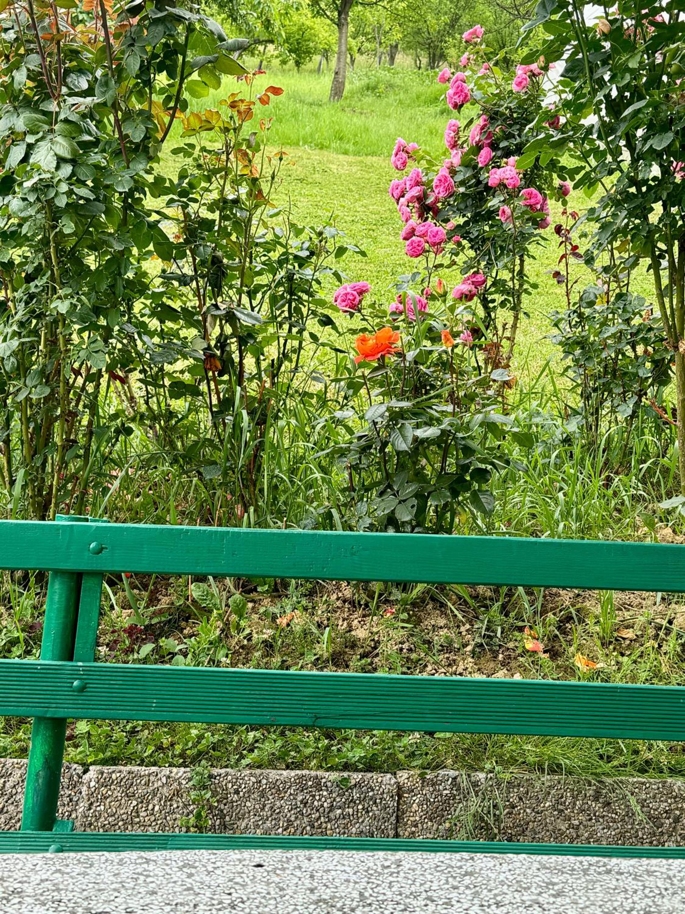 Sarajevo Flower Garden