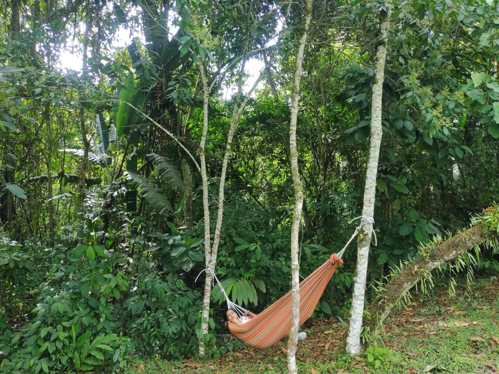 Eco Hotel Birdland en Buga Valle