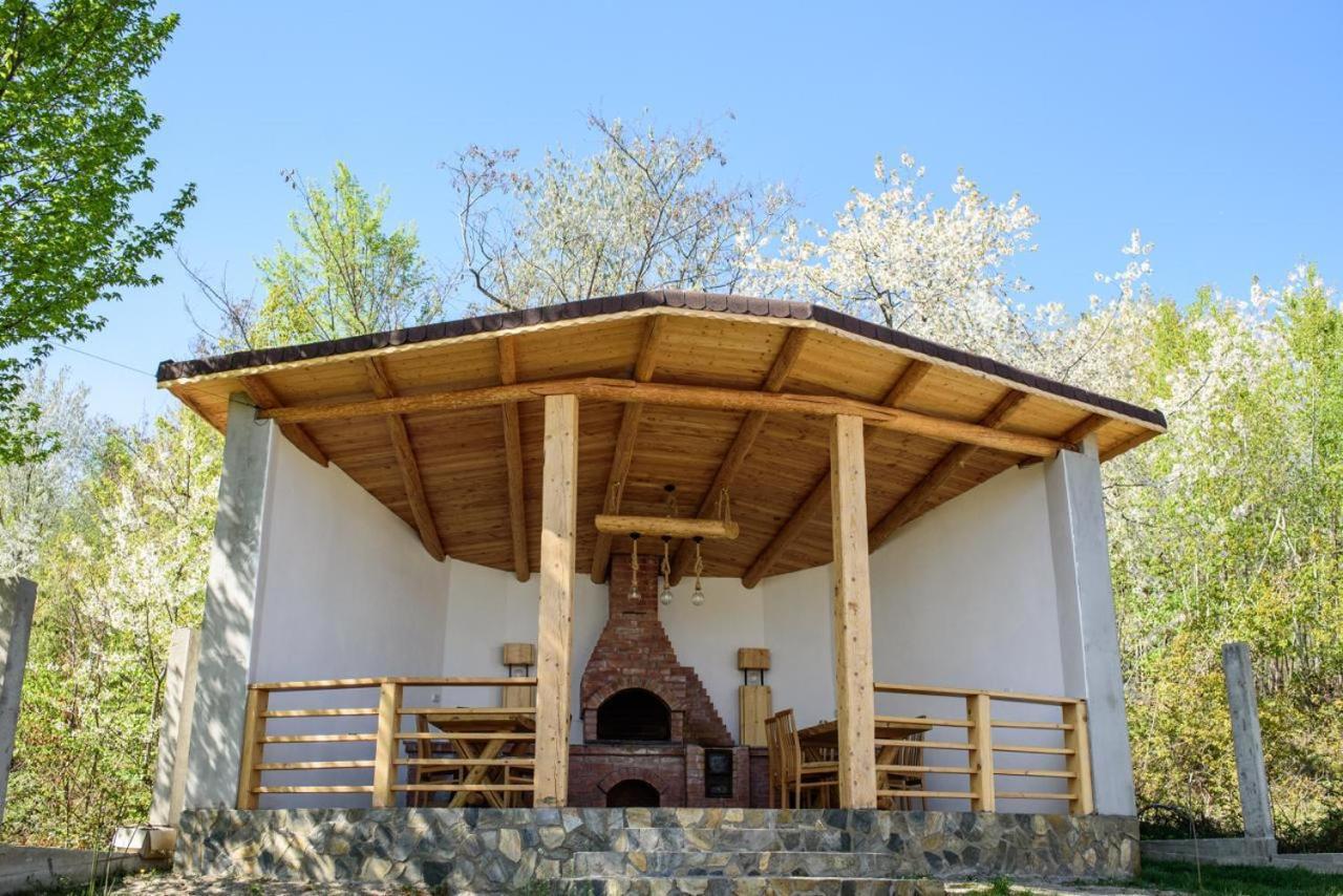 Pensiunea Casa Sofia