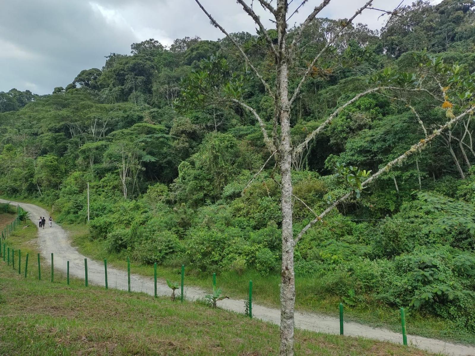 Eco Hotel Birdland en Buga Valle