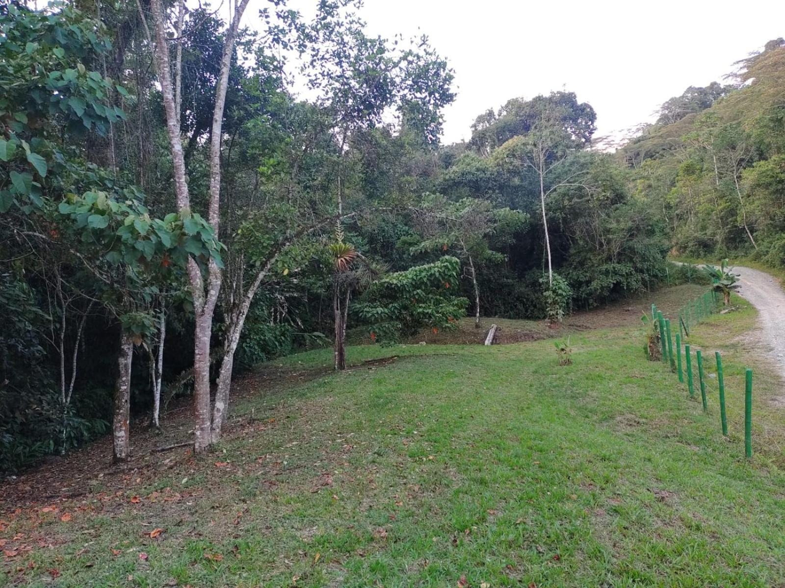 Eco Hotel Birdland en Buga Valle