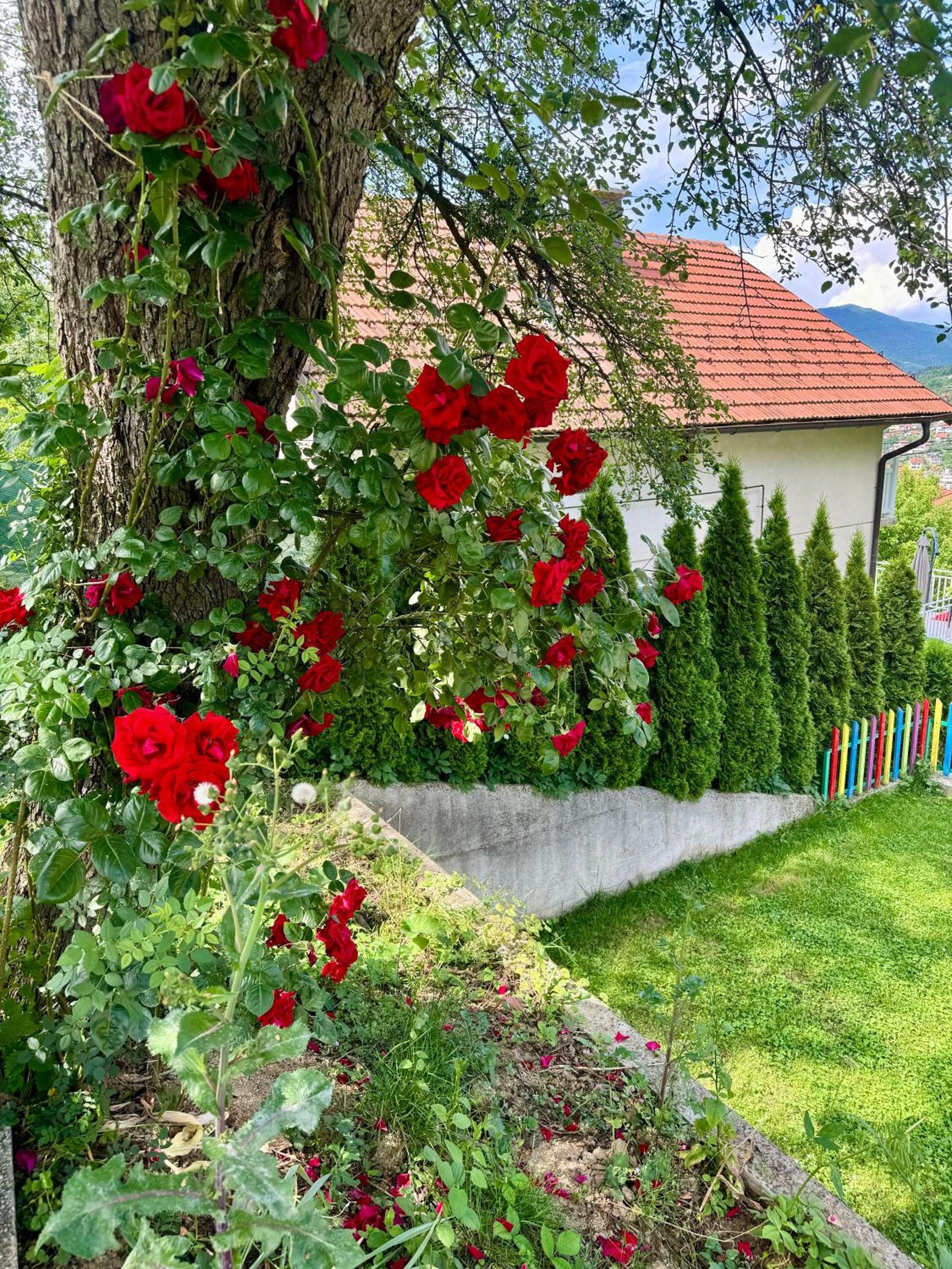 Sarajevo Flower Garden