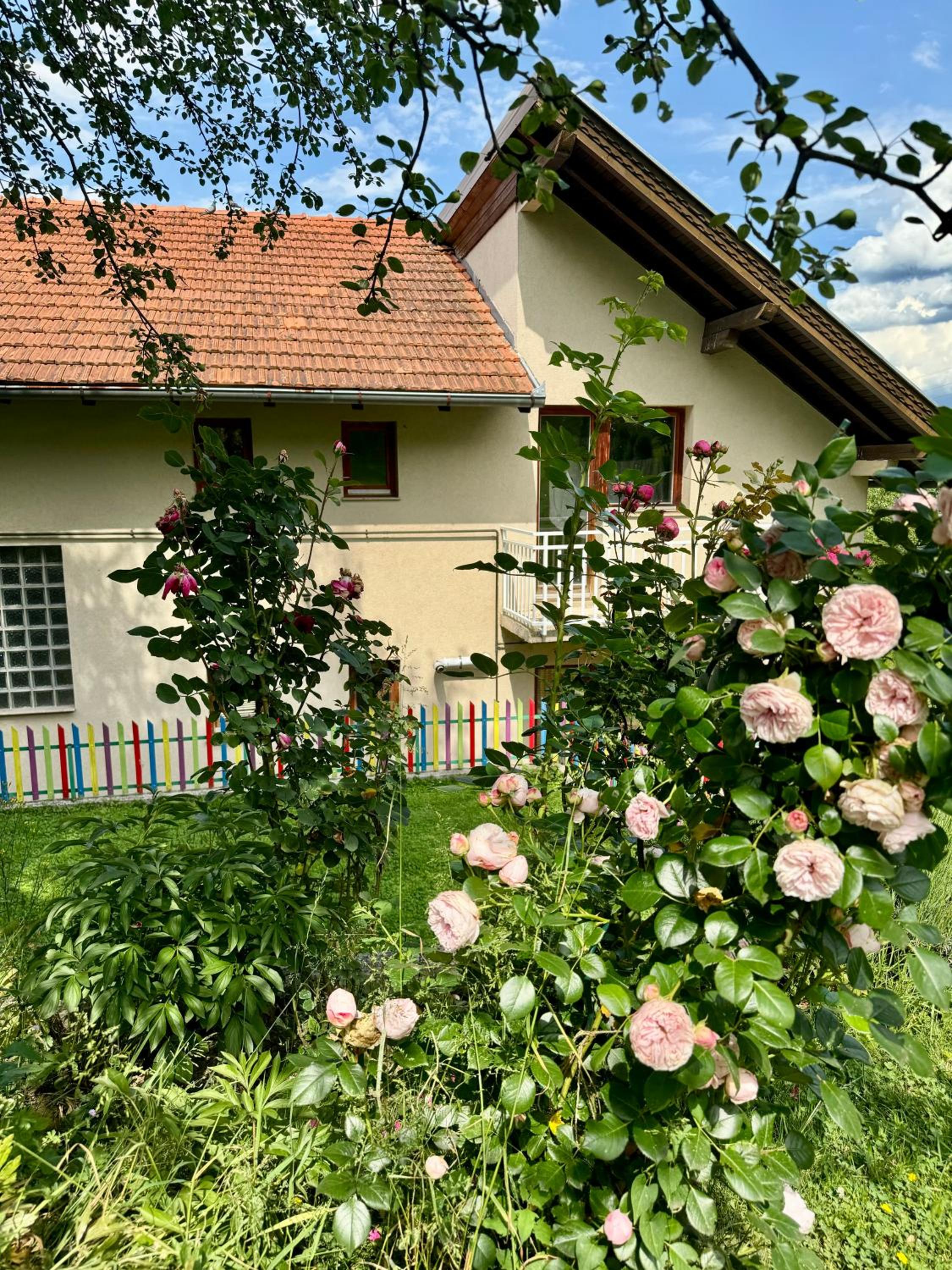 Sarajevo Flower Garden